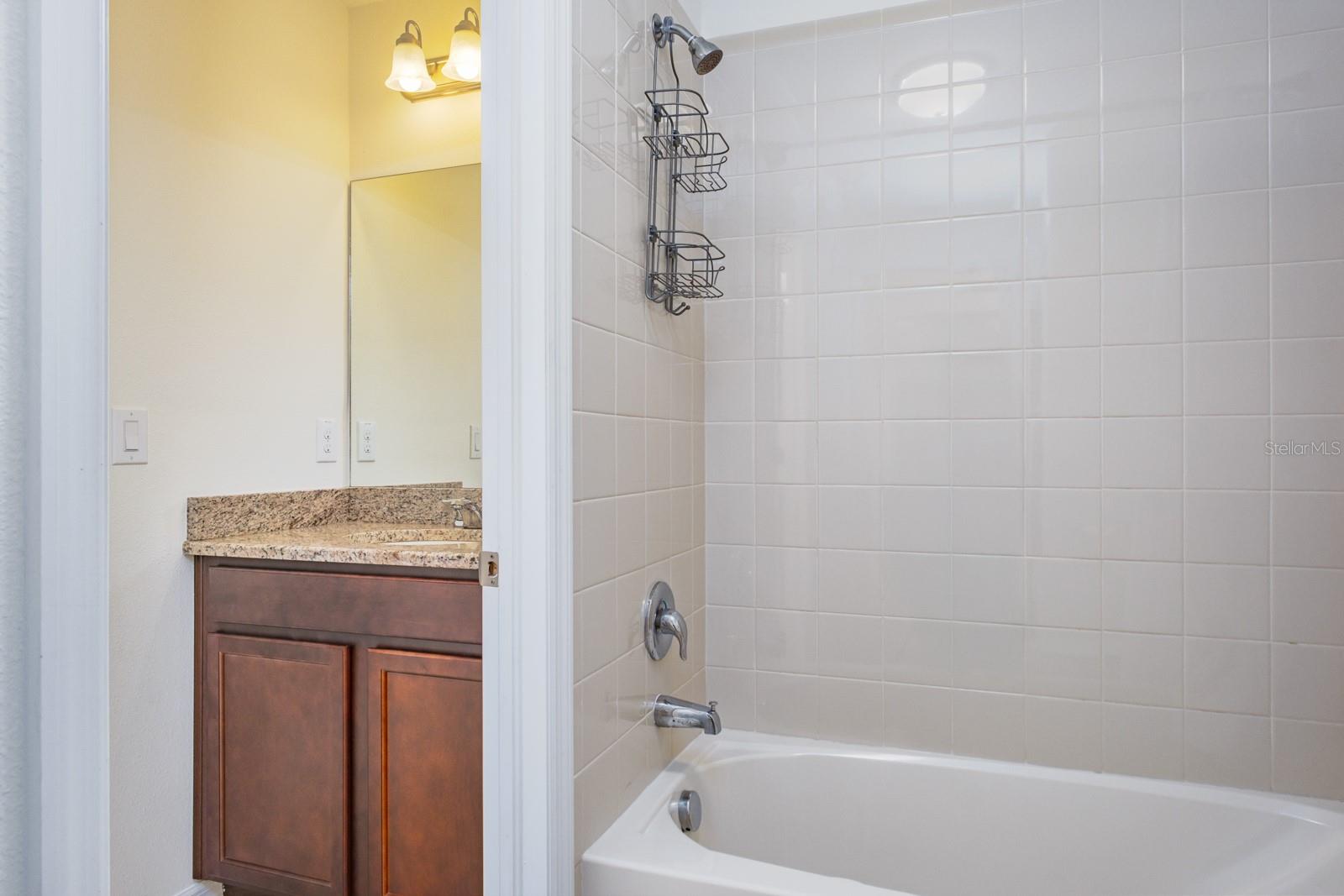 1653 NATURE VIEW DR, LUTZ, FL, 33558