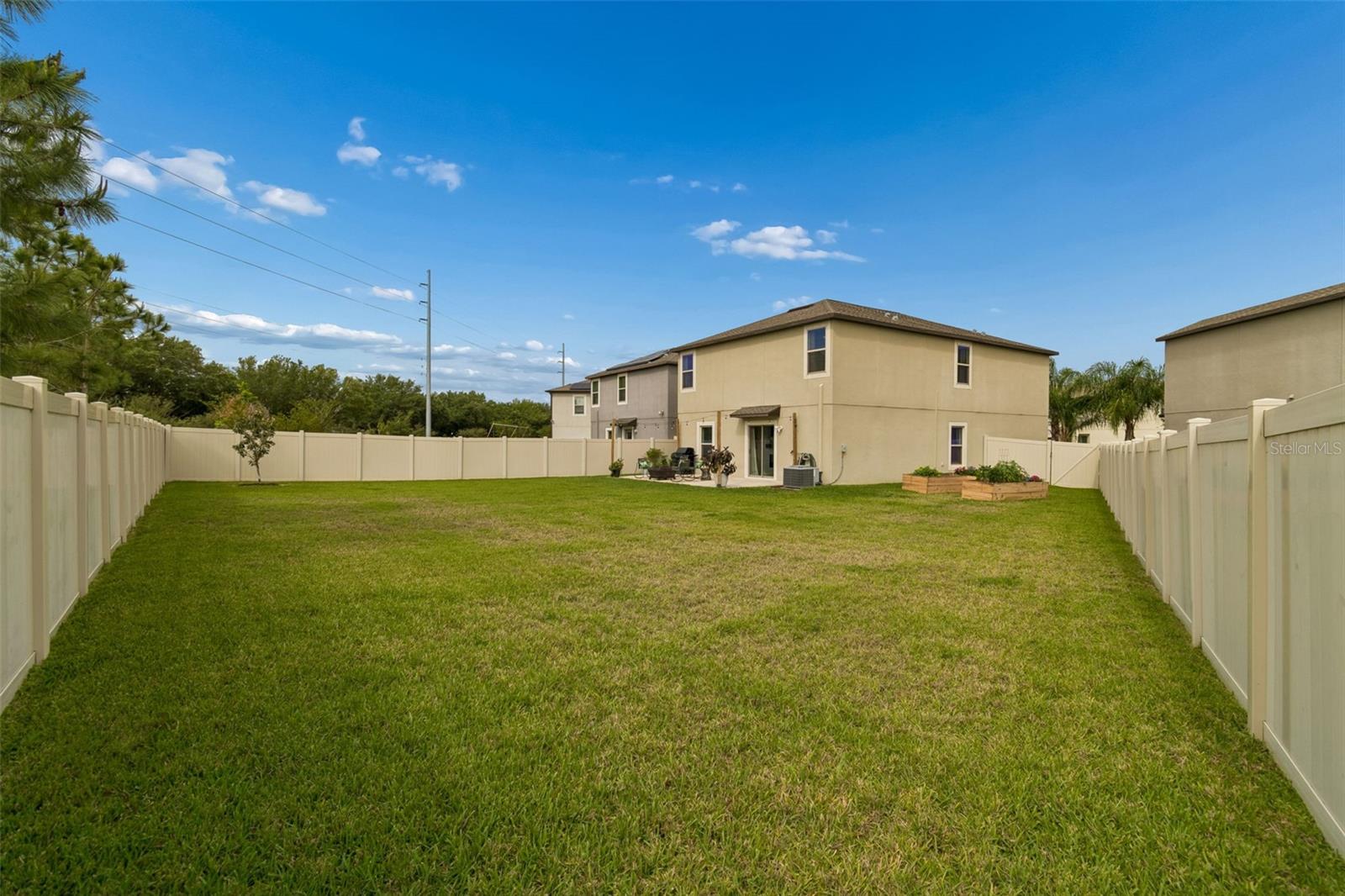 plenty of space for the dogs in a secured private fence