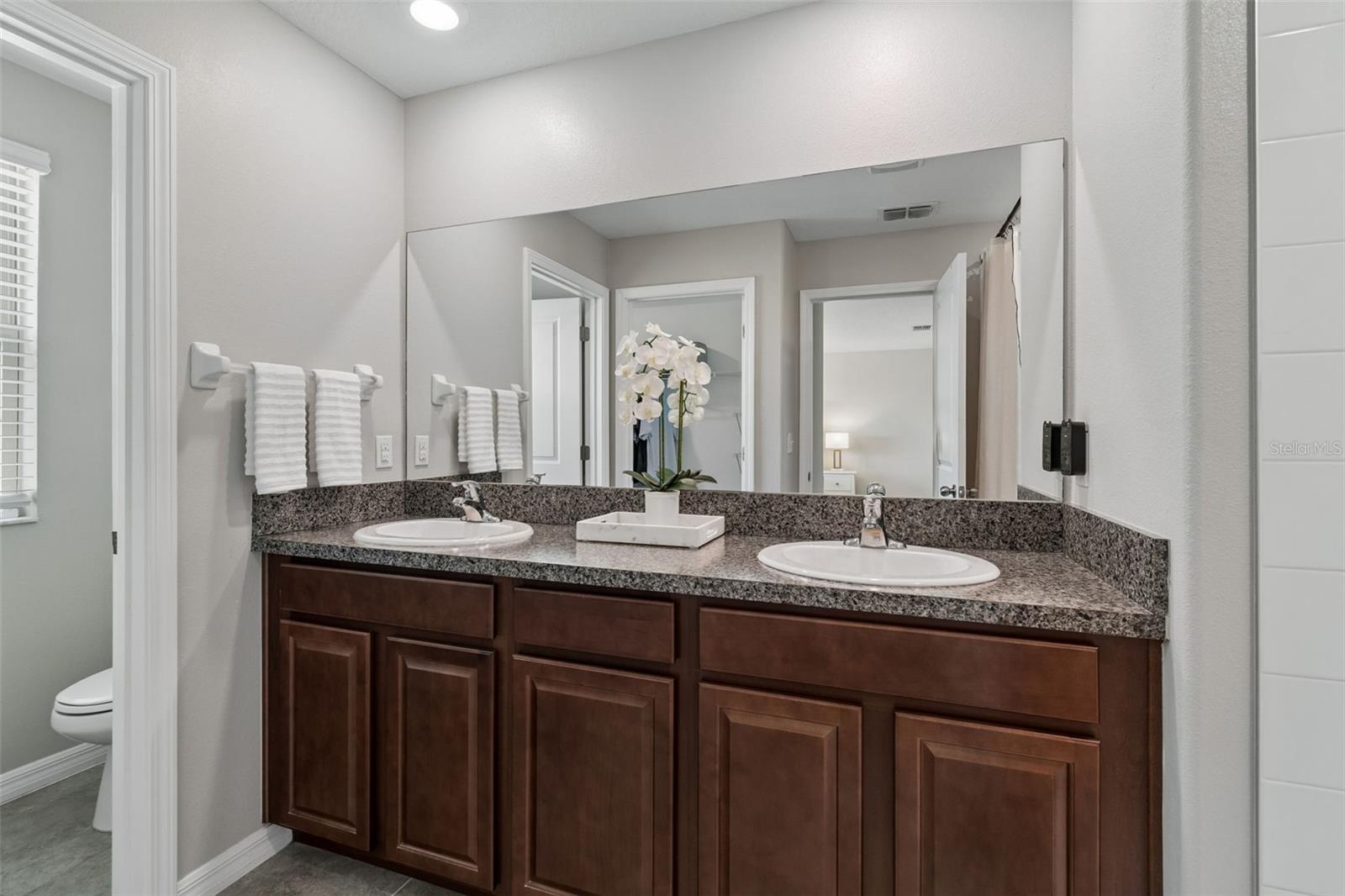 primary bathroom duel sink