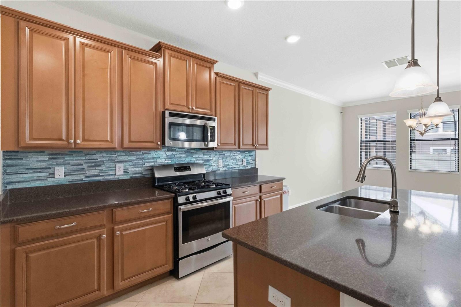 1001 OLIVETO VERDI CT, BRANDON, FL, 33511