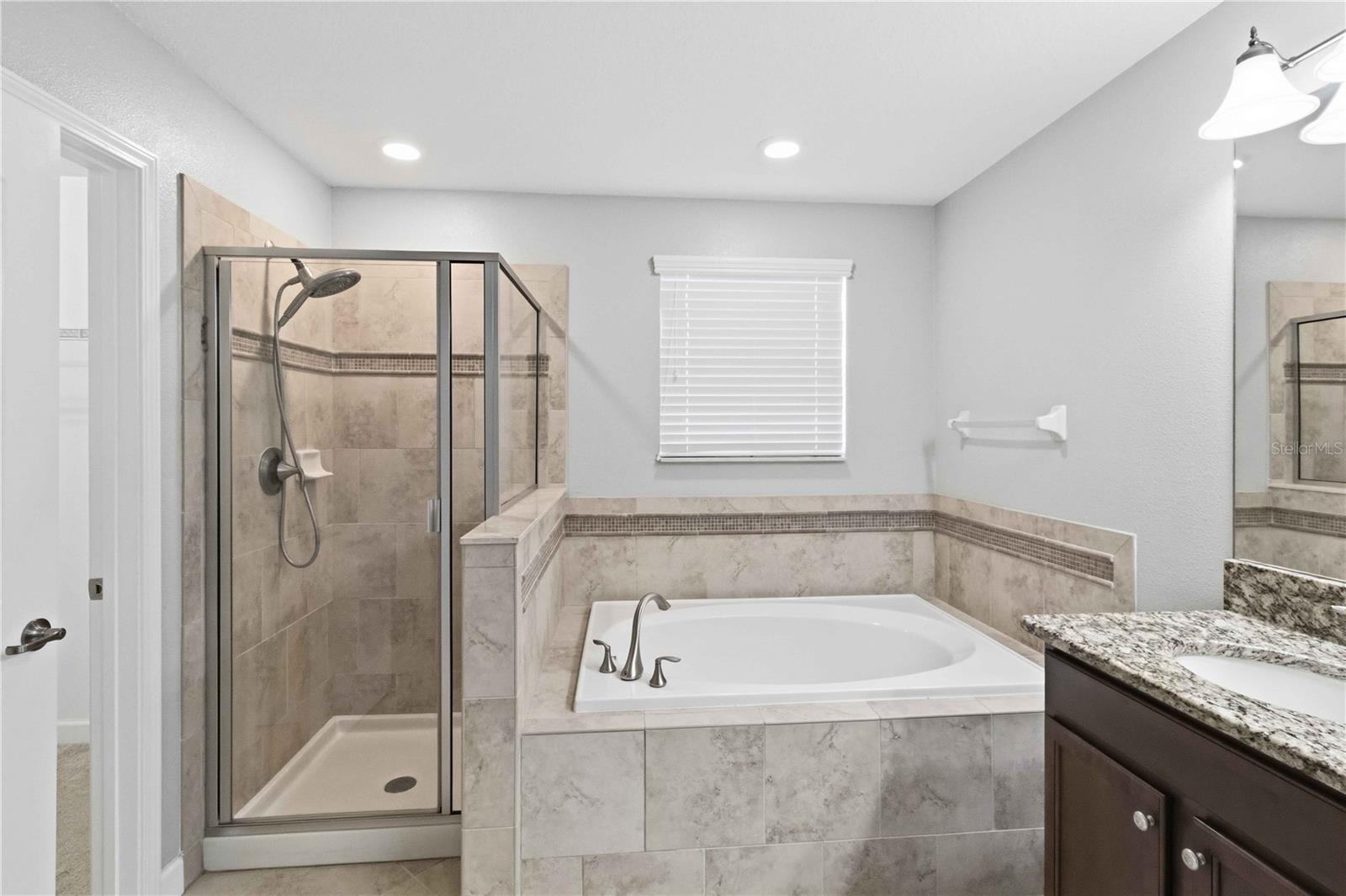 1001 OLIVETO VERDI CT, BRANDON, FL, 33511