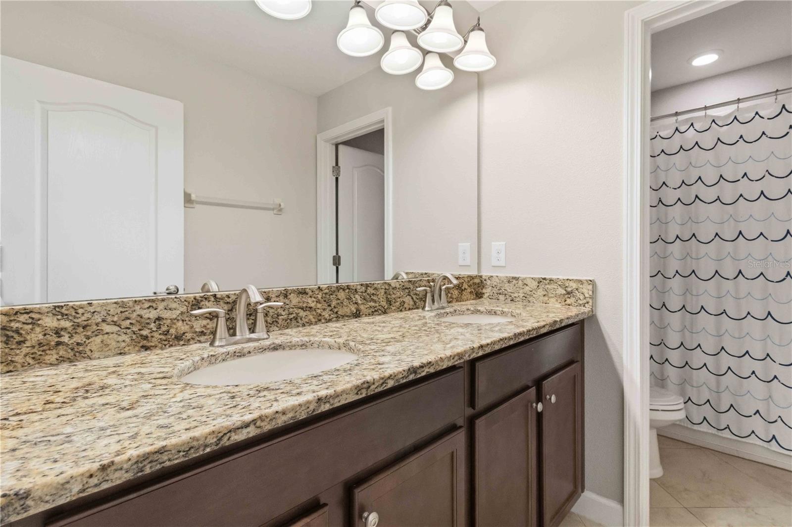 1001 OLIVETO VERDI CT, BRANDON, FL, 33511