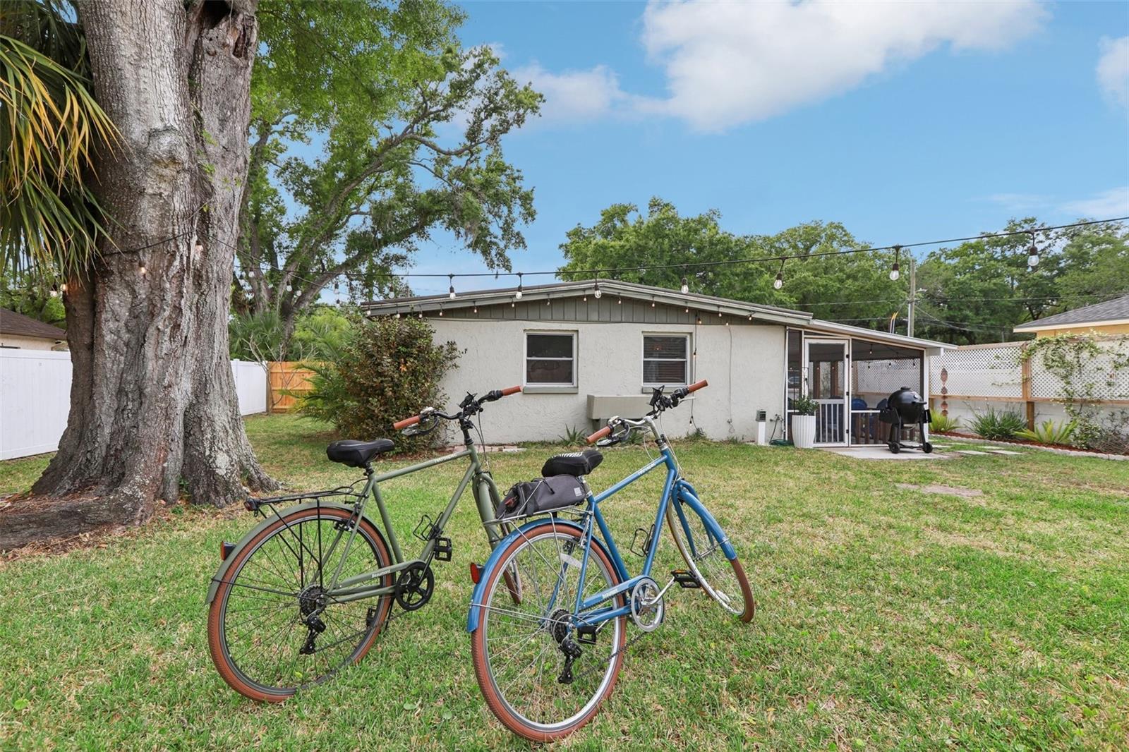 7805 N GLEN AVE, TAMPA, FL, 33614