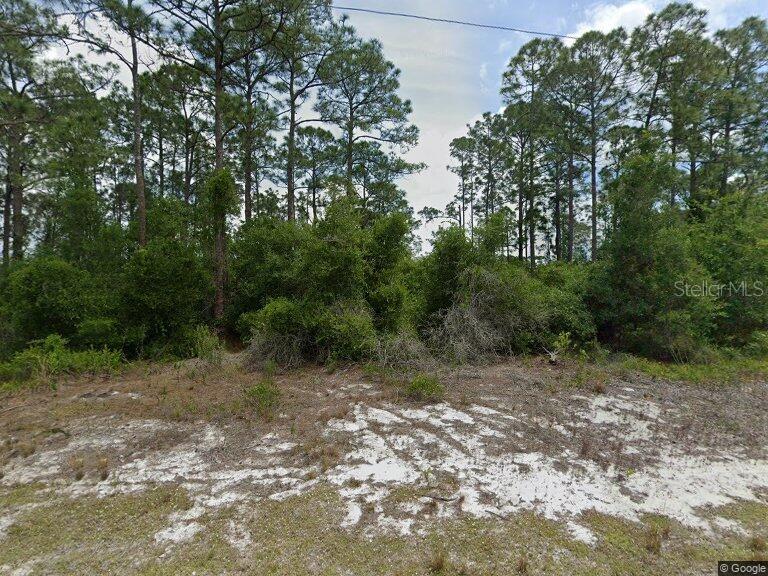 479 JOHNSON AVE NE, LAKE PLACID, FL, 33852
