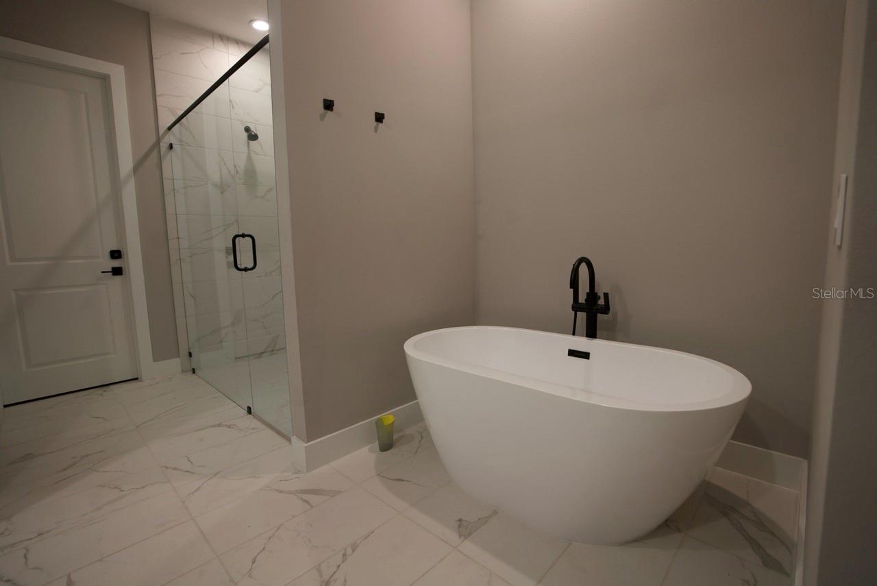 16046 VETTA DR, BELLA COLLINA, FL, 34756