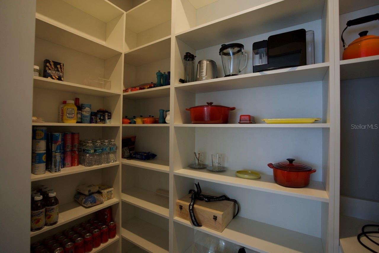 16046 VETTA DR, BELLA COLLINA, FL, 34756