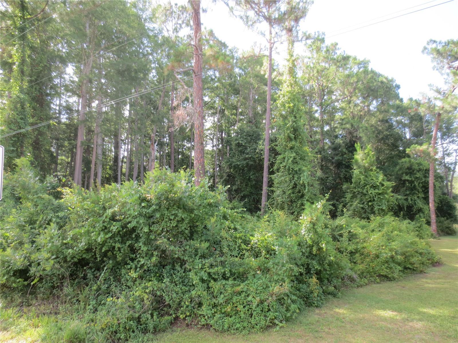 14655 NE 14TH STREET RD, SILVER SPRINGS, FL, 34488