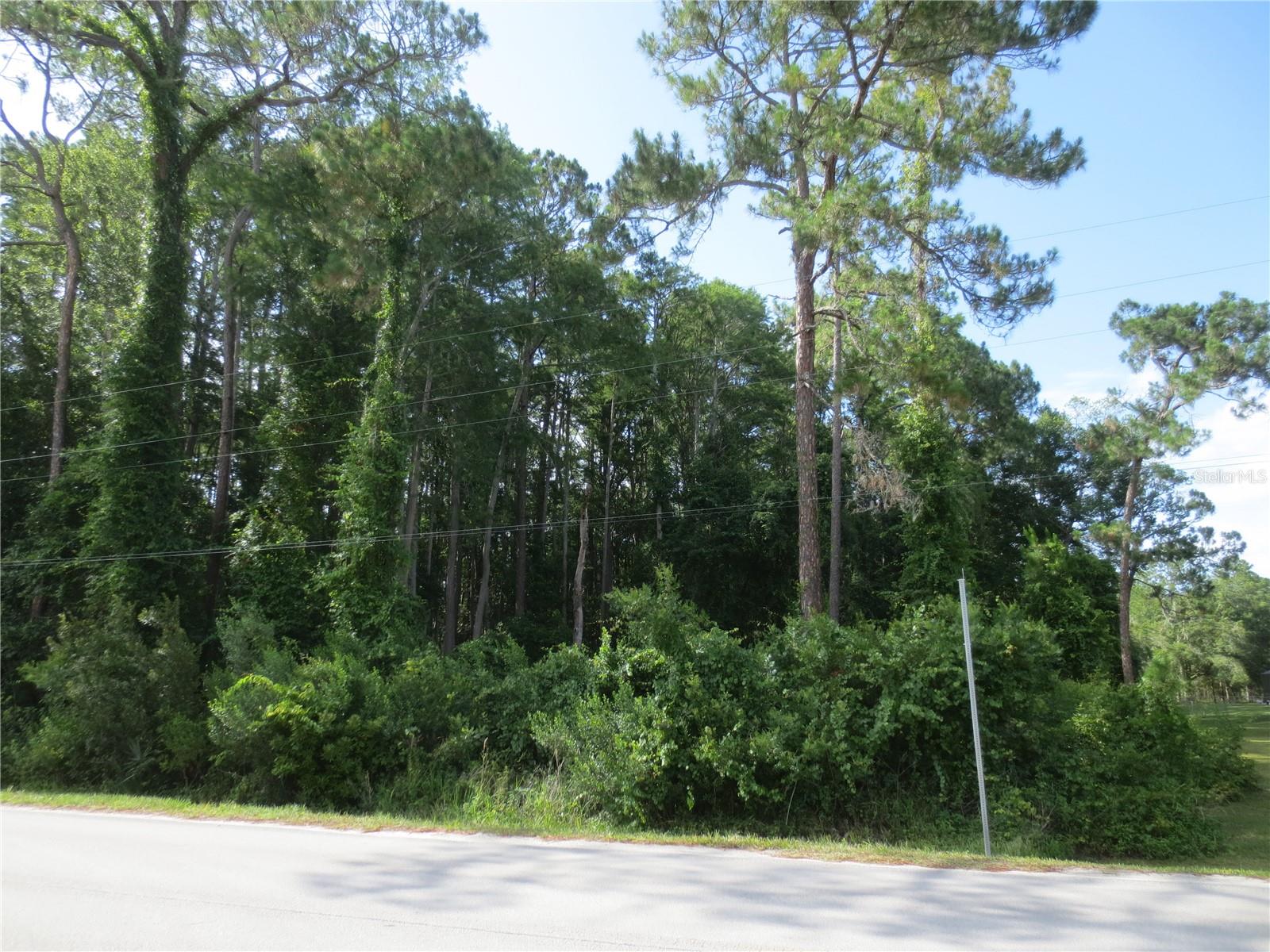 14655 NE 14TH STREET RD, SILVER SPRINGS, FL, 34488