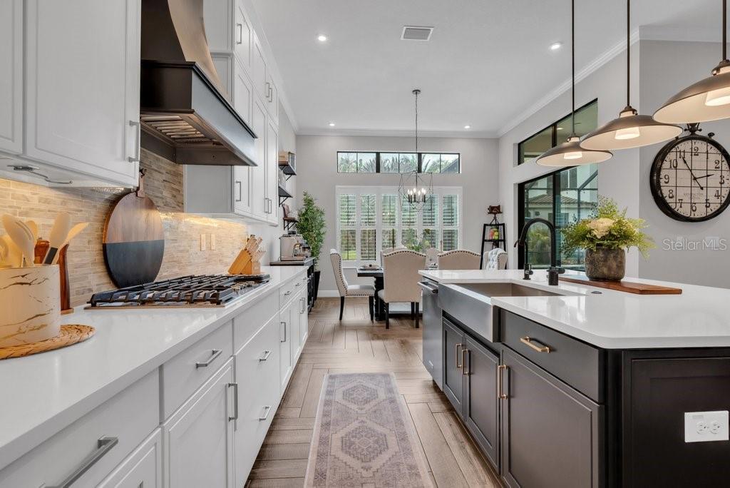 5321 OSPREY RIDGE DR, LITHIA, FL, 33547