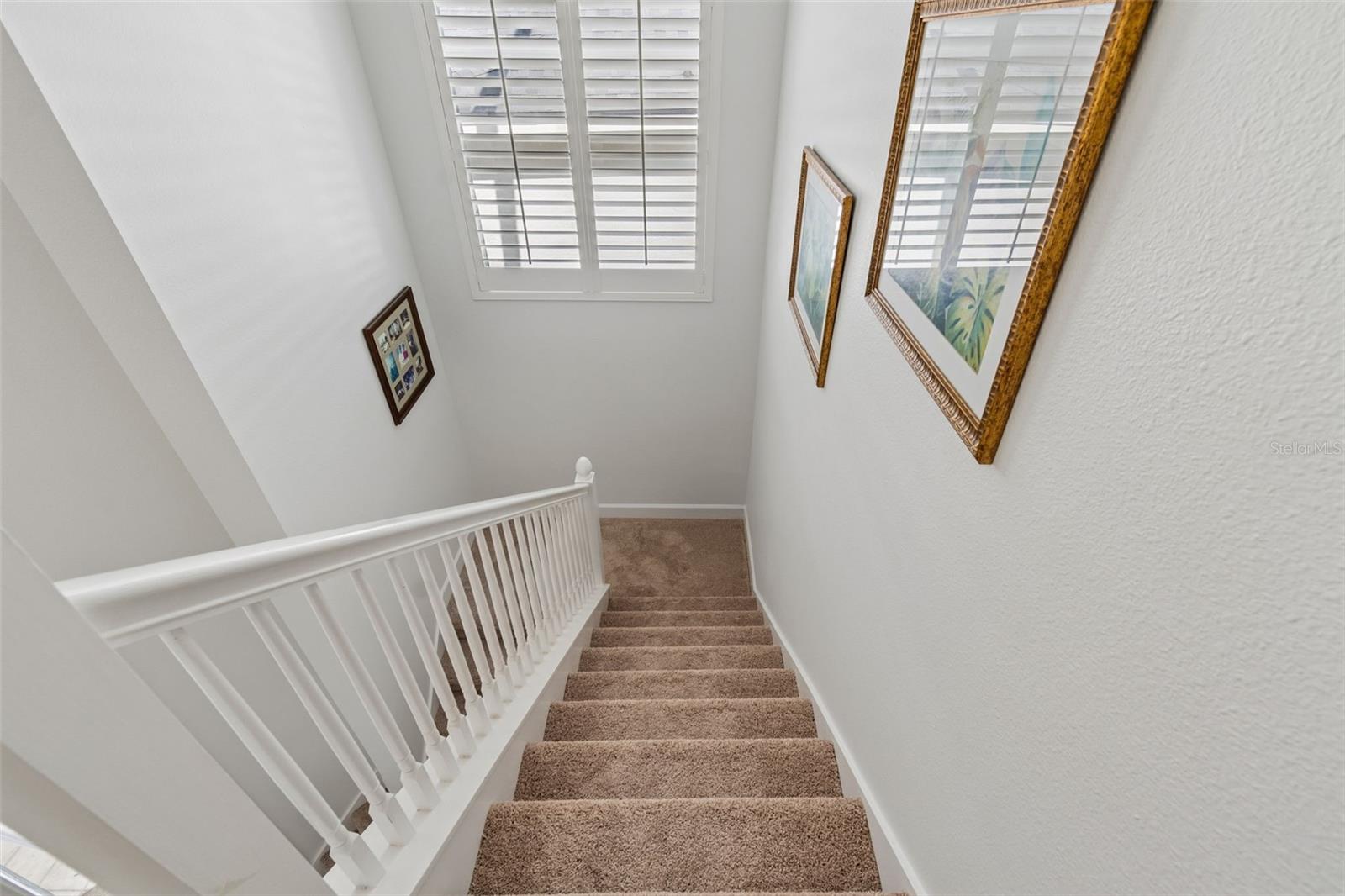 5414 AVENAL DR, LUTZ, FL, 33558