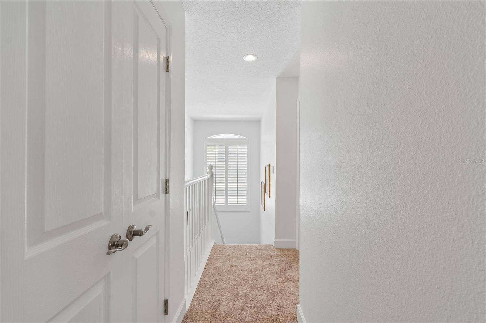 5414 AVENAL DR, LUTZ, FL, 33558