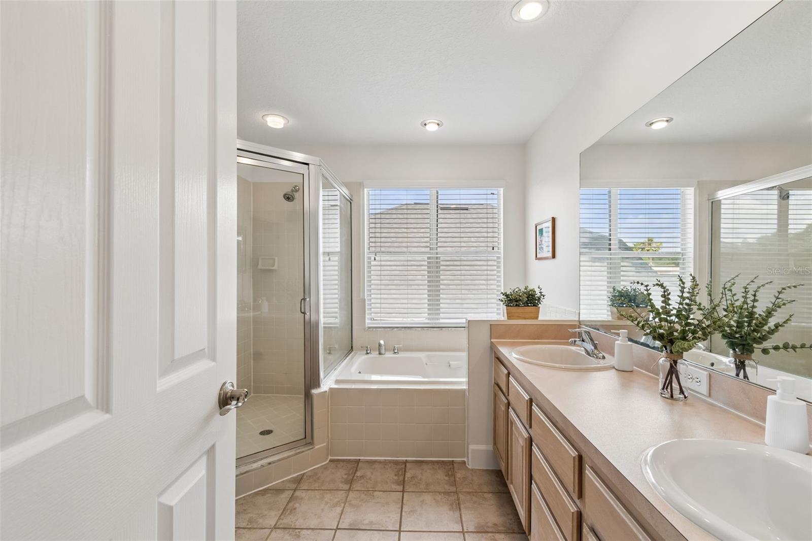 5414 AVENAL DR, LUTZ, FL, 33558
