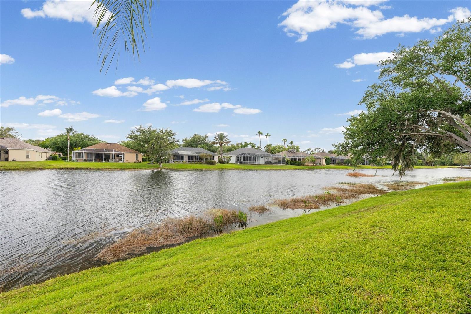 11808 SOFT RUSH TER, LAKEWOOD RANCH, FL, 34202