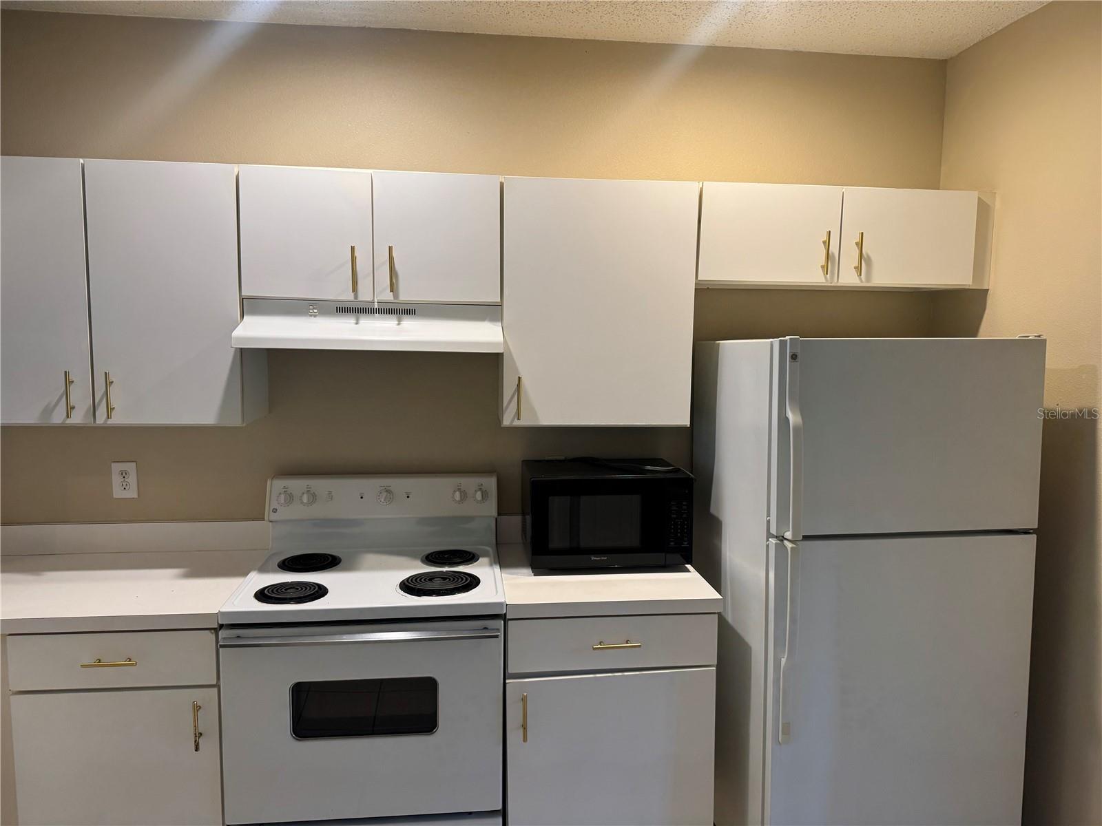 30059 GRANDA HILLS CT, WESLEY CHAPEL, FL, 33543