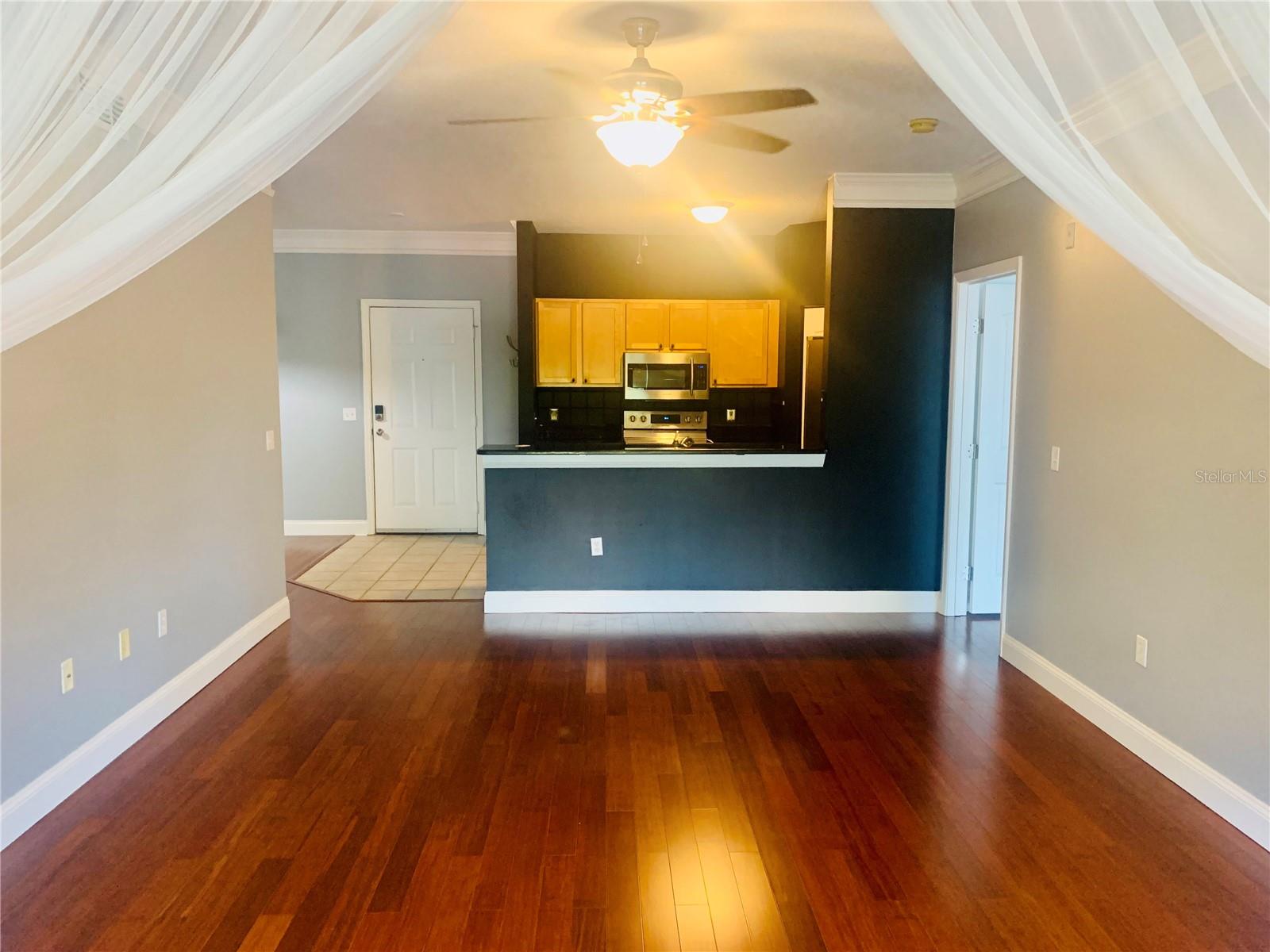 4207 S DALE MABRY HWY #2301, TAMPA, FL, 33611