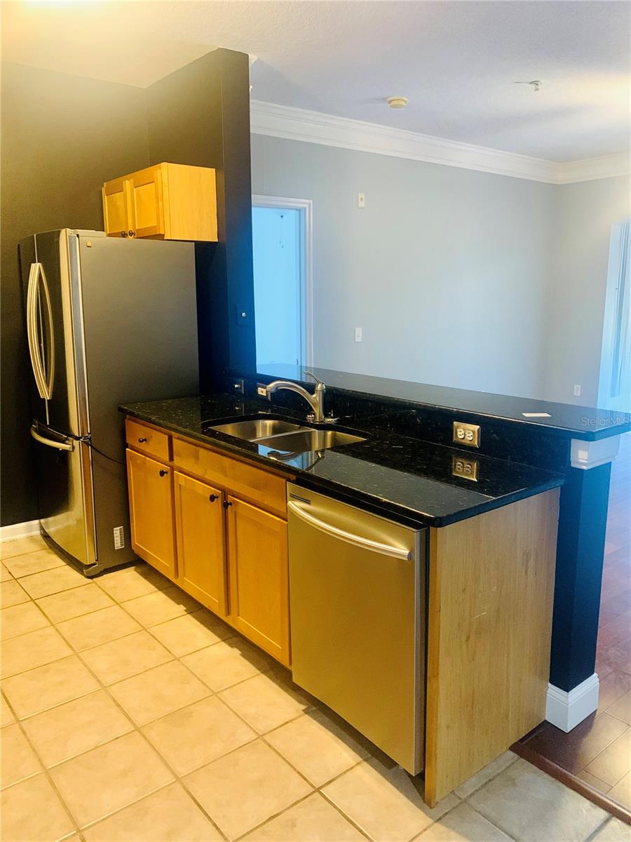 4207 S DALE MABRY HWY #2301, TAMPA, FL, 33611