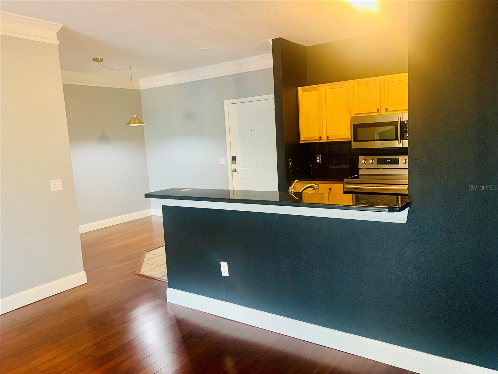 4207 S DALE MABRY HWY #2301, TAMPA, FL, 33611