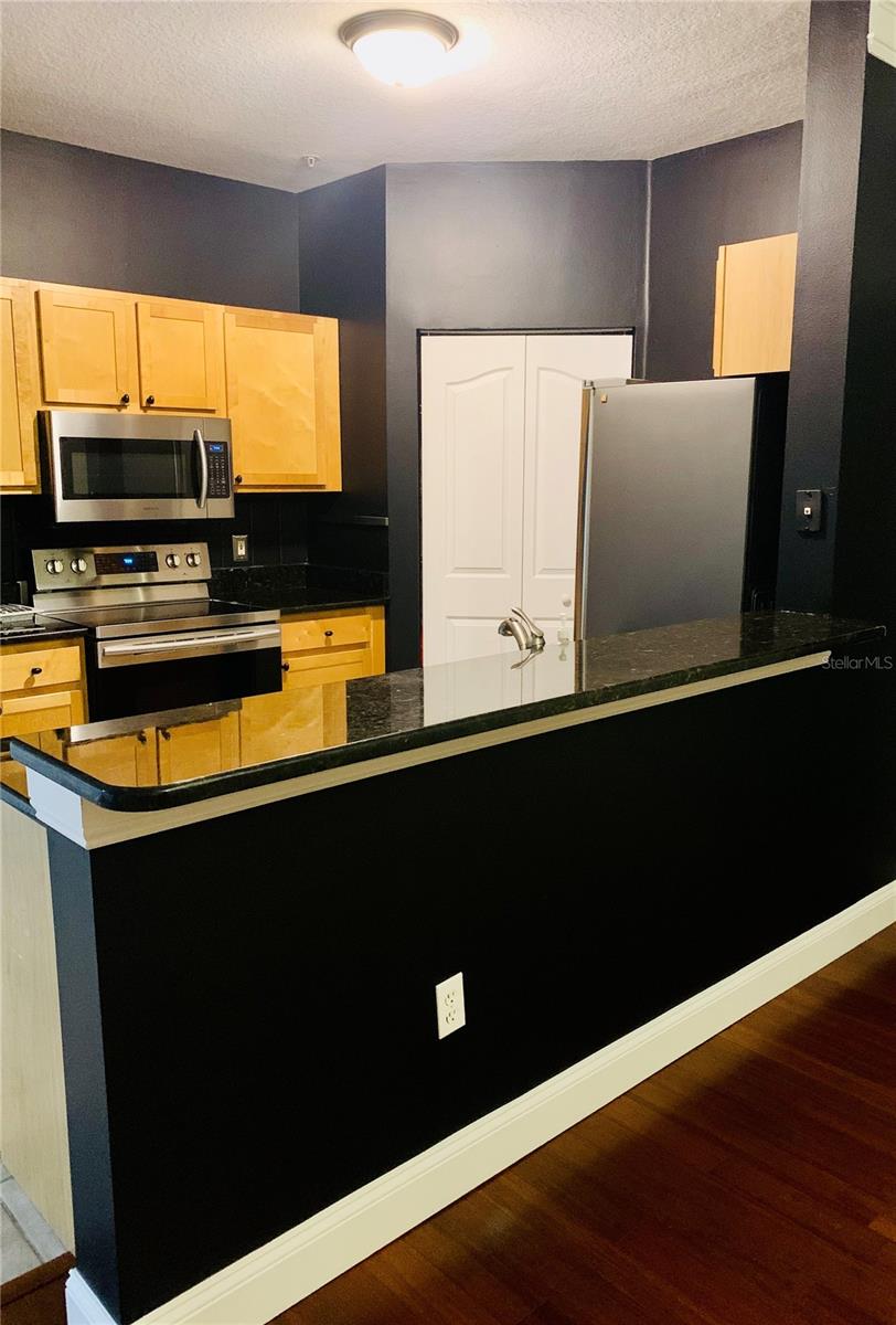 4207 S DALE MABRY HWY #2301, TAMPA, FL, 33611