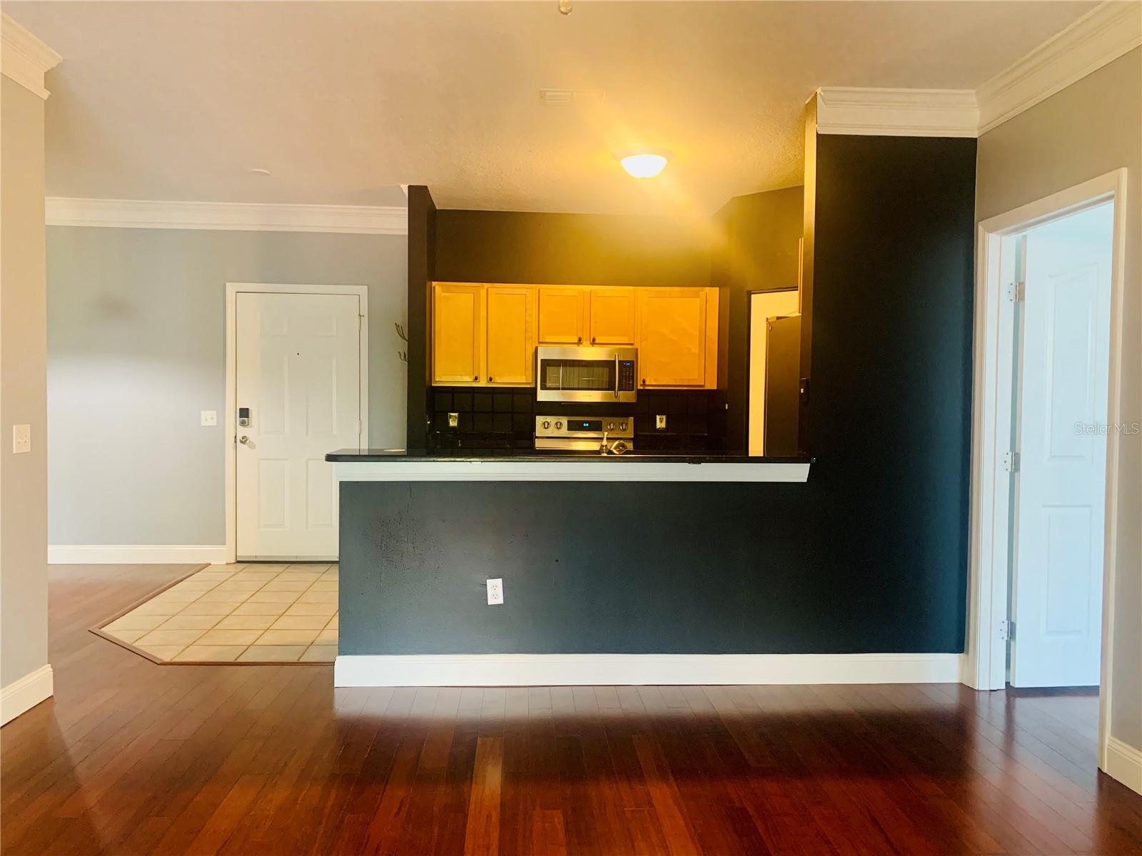 4207 S DALE MABRY HWY #2301, TAMPA, FL, 33611