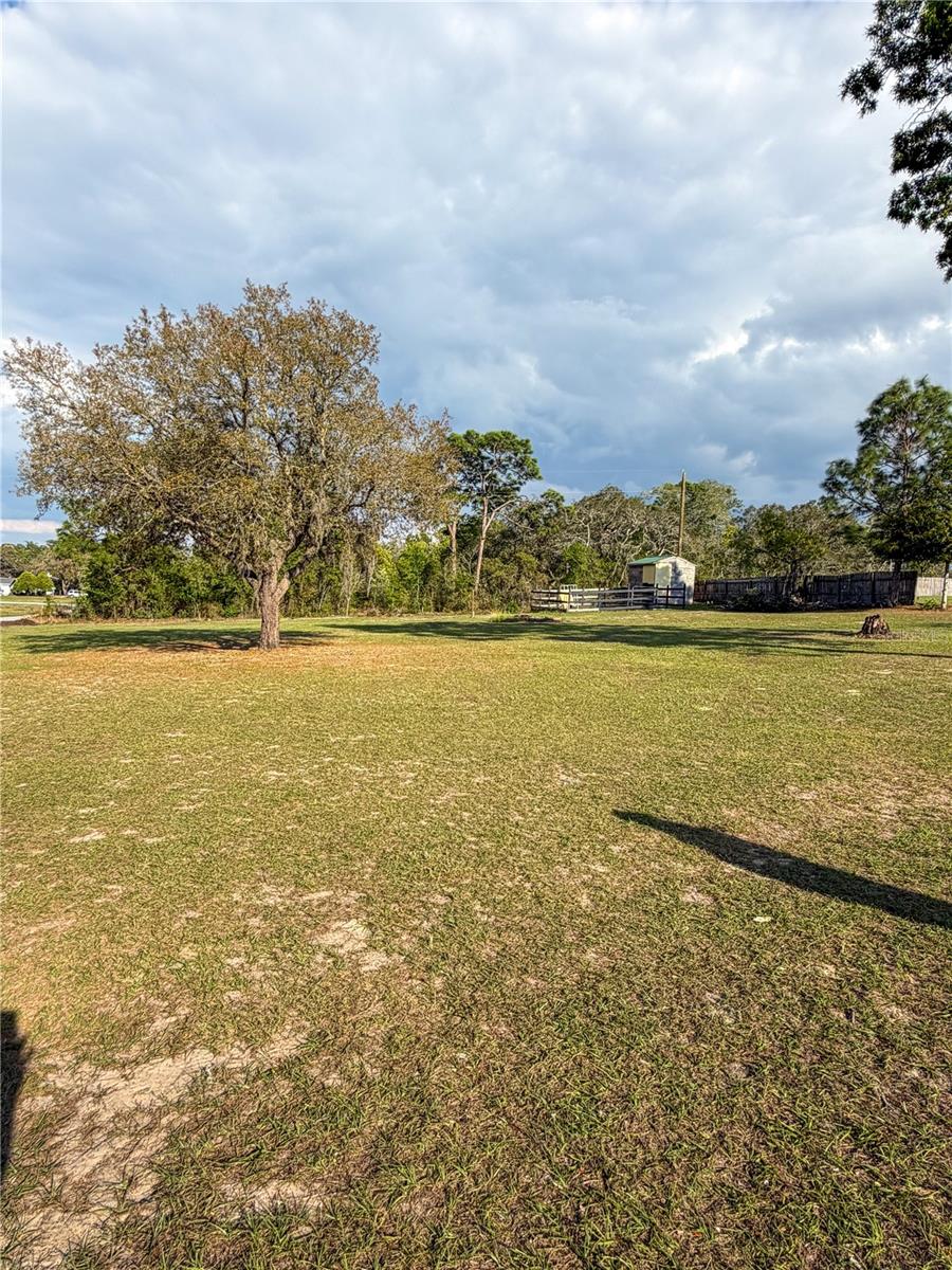 18406 SAND PINE DR, SPRING HILL, FL, 34610