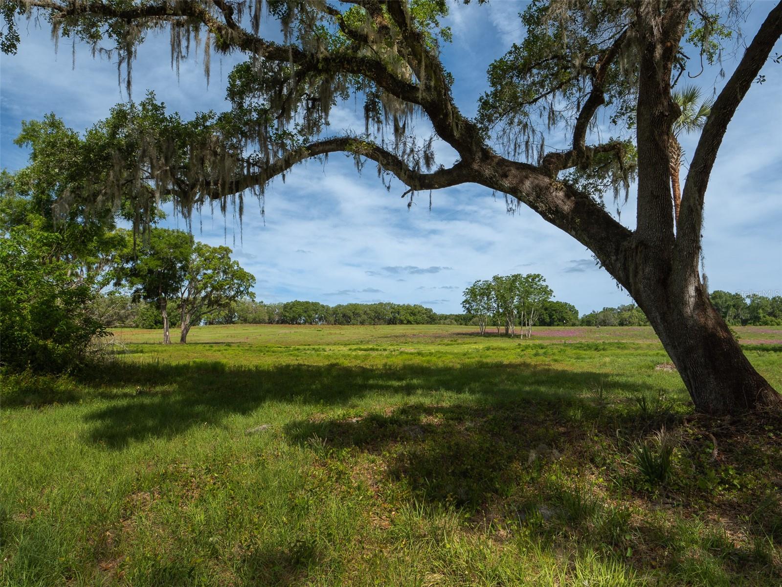 TBD SE 111TH PL, OCALA, FL, 34480