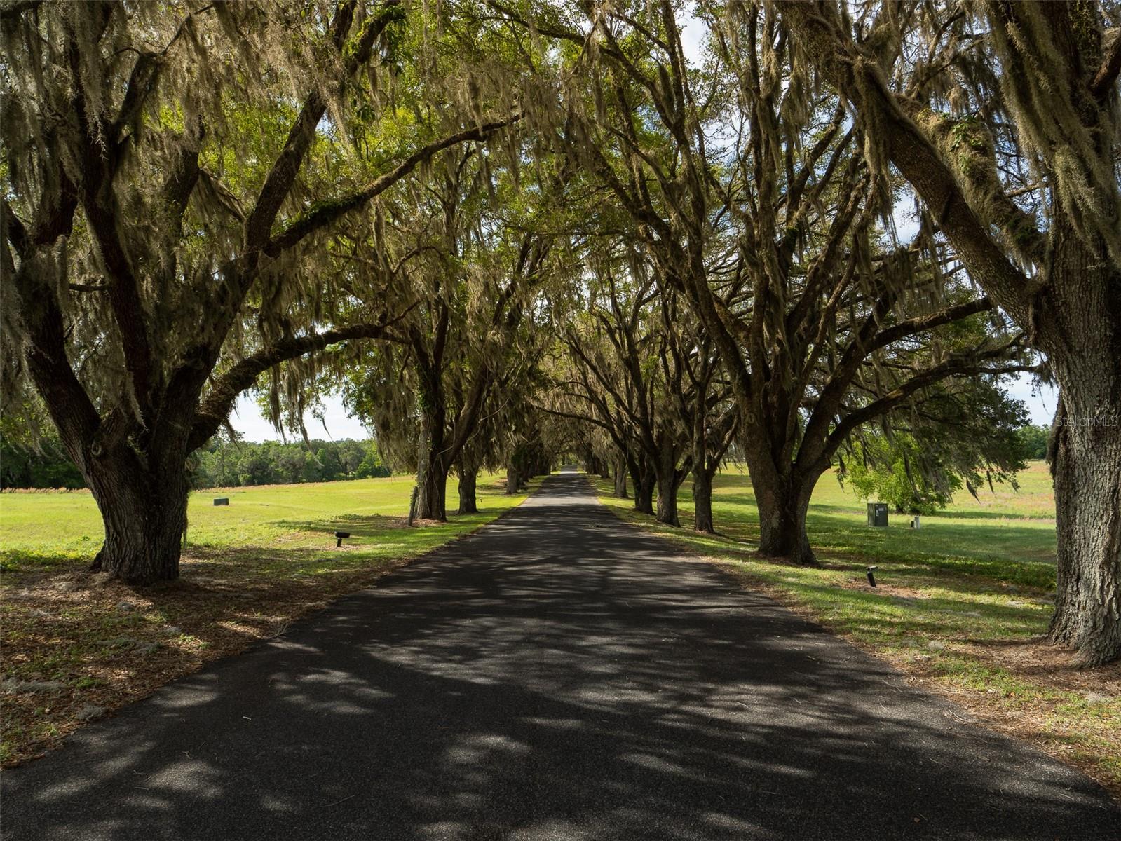 TBD SE 111TH PL, OCALA, FL, 34480