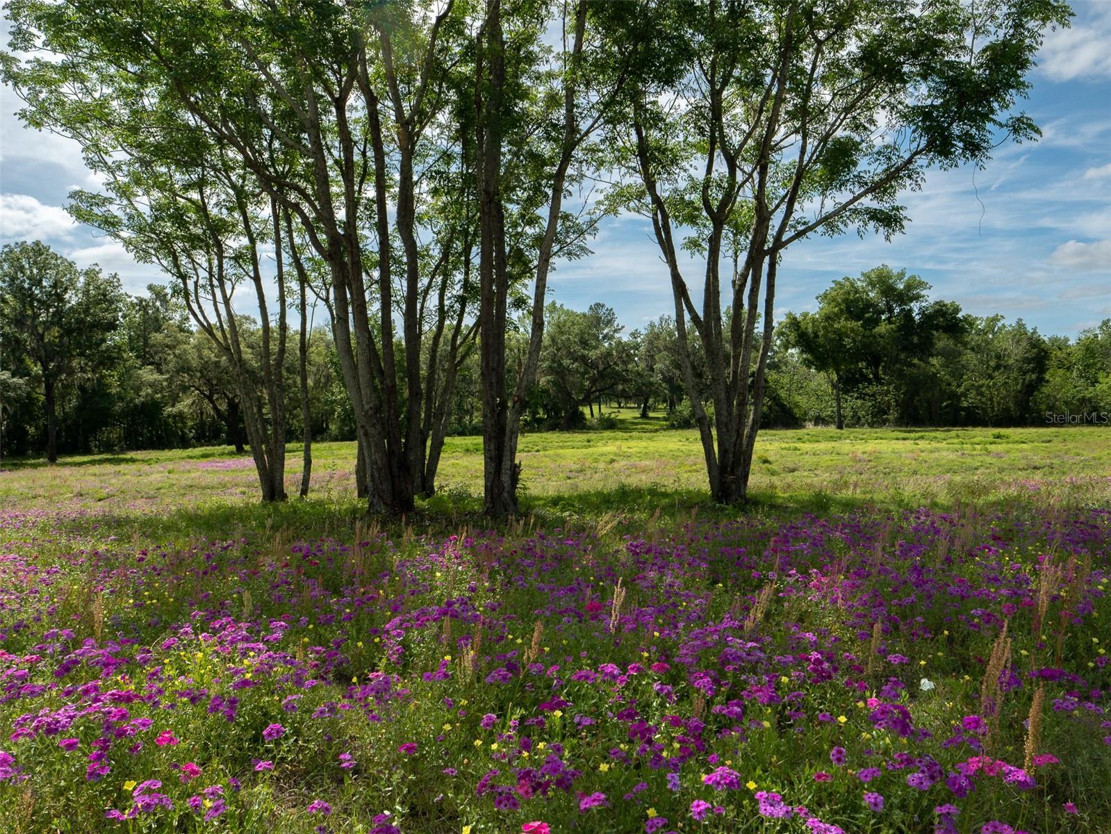 TBD SE 111TH PL, OCALA, FL, 34480