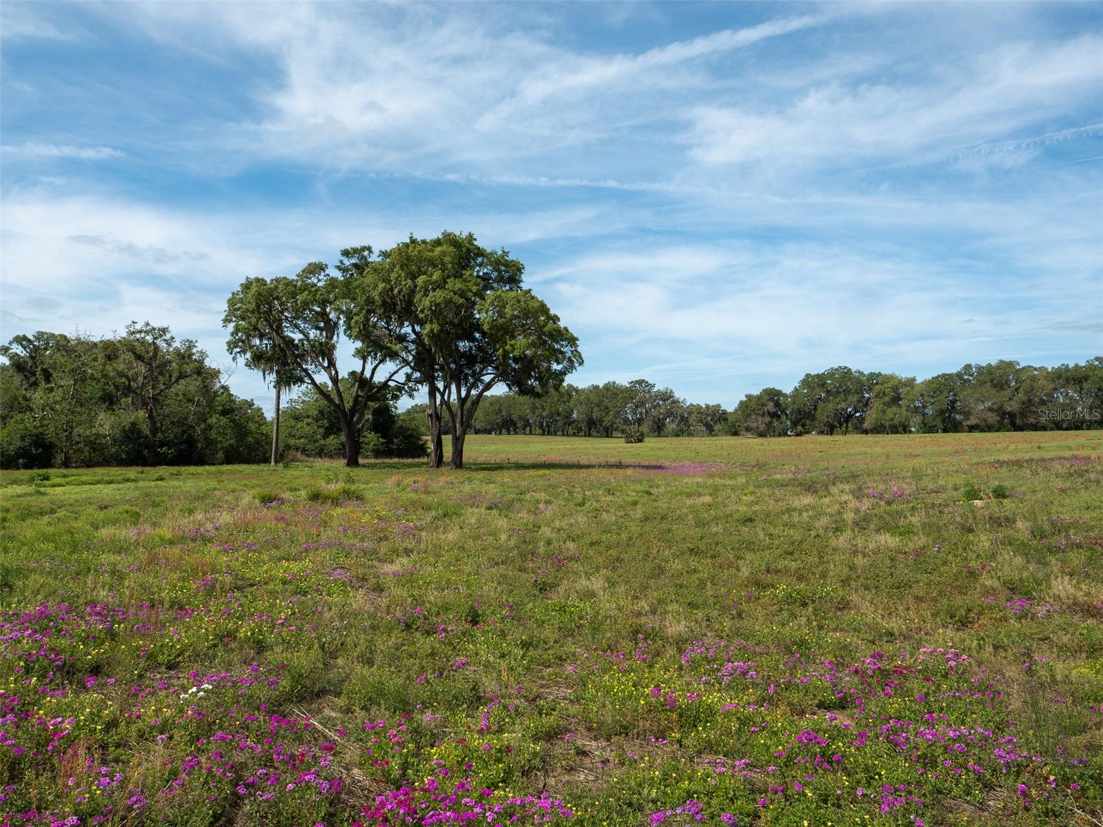 TBD SE 111TH PL, OCALA, FL, 34480