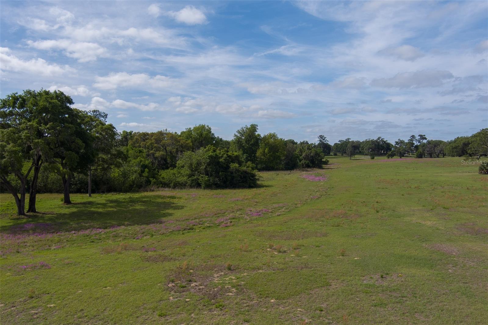 TBD SE 111TH PL, OCALA, FL, 34480