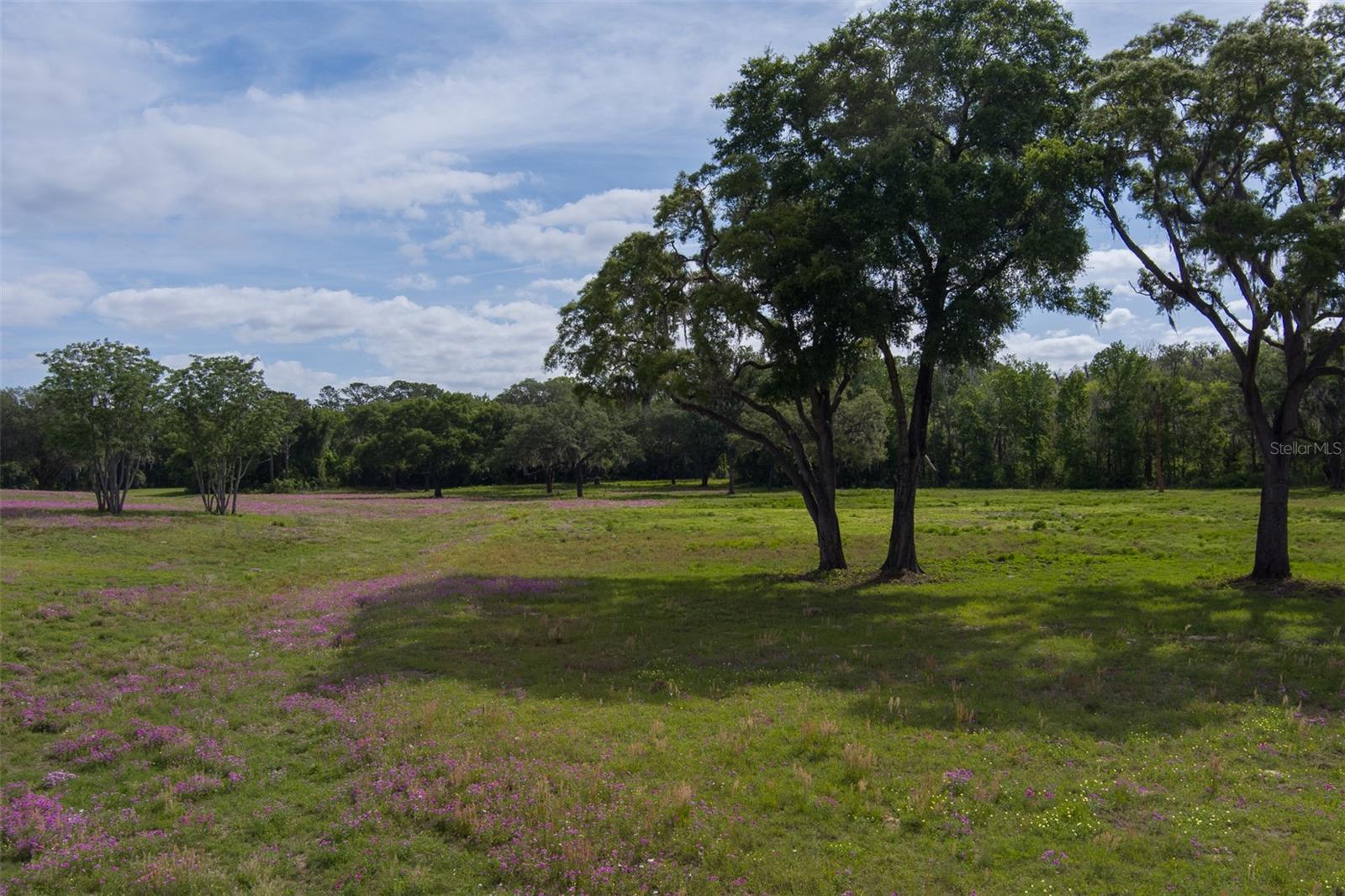 TBD SE 111TH PL, OCALA, FL, 34480