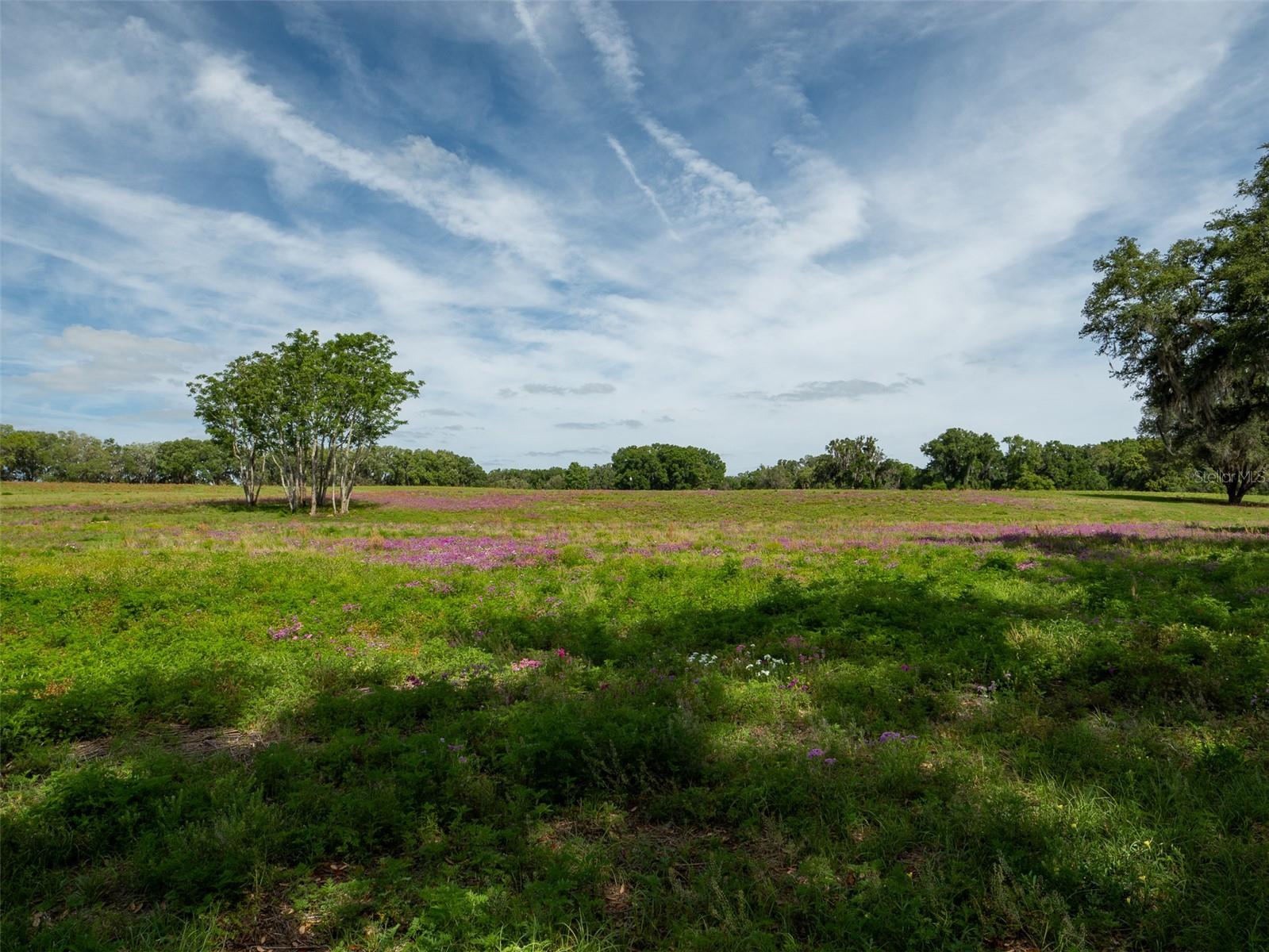 TBD SE 111TH PL, OCALA, FL, 34480