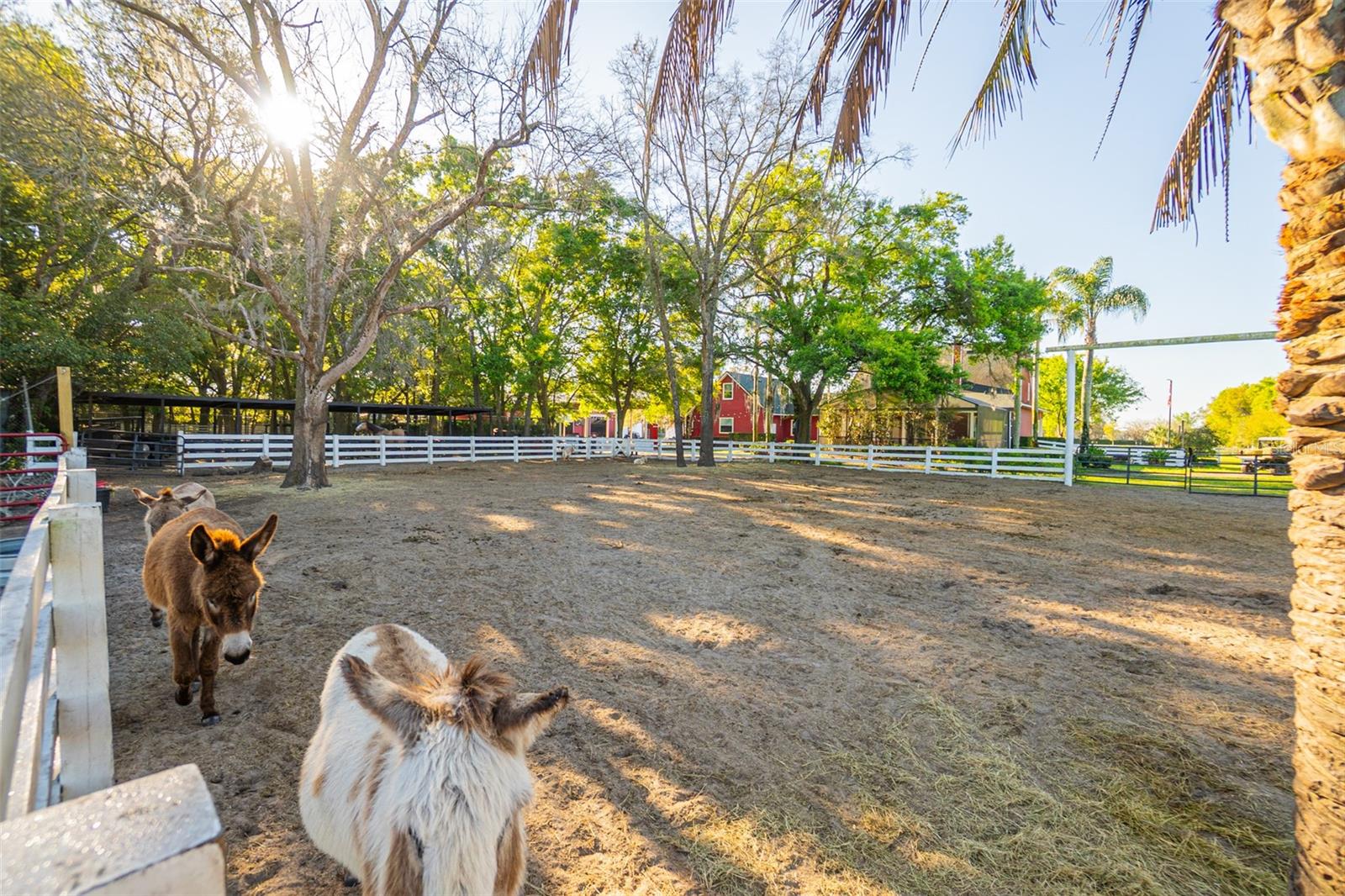 280 CAMPBELL RANCH RUN, GENEVA, FL, 32732