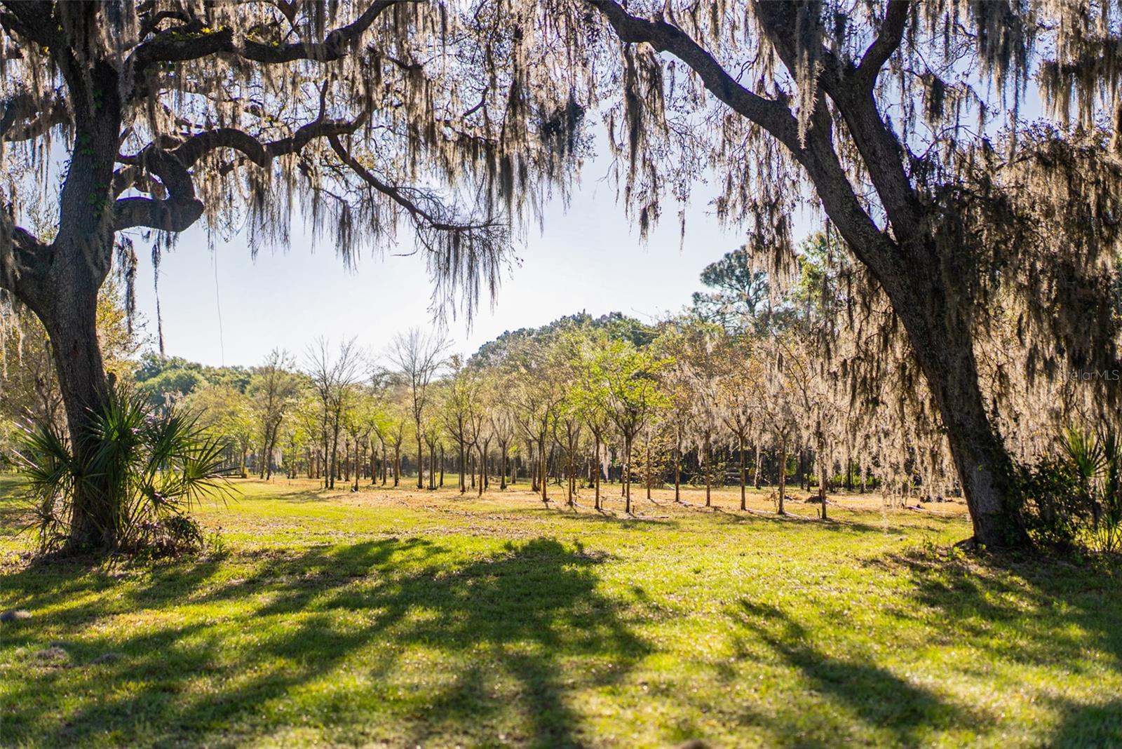 280 CAMPBELL RANCH RUN, GENEVA, FL, 32732