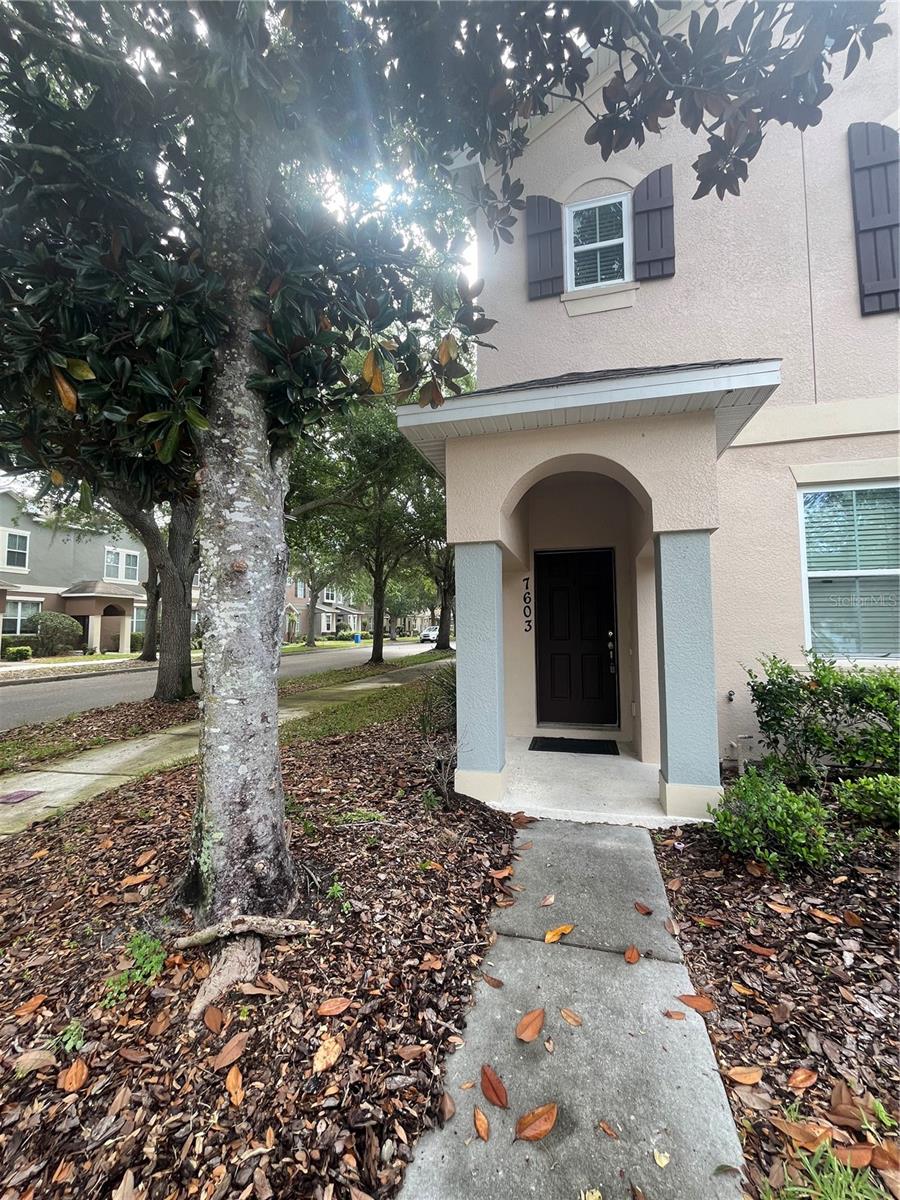 7603 BRAMWELL ST, WINDERMERE, FL, 34786