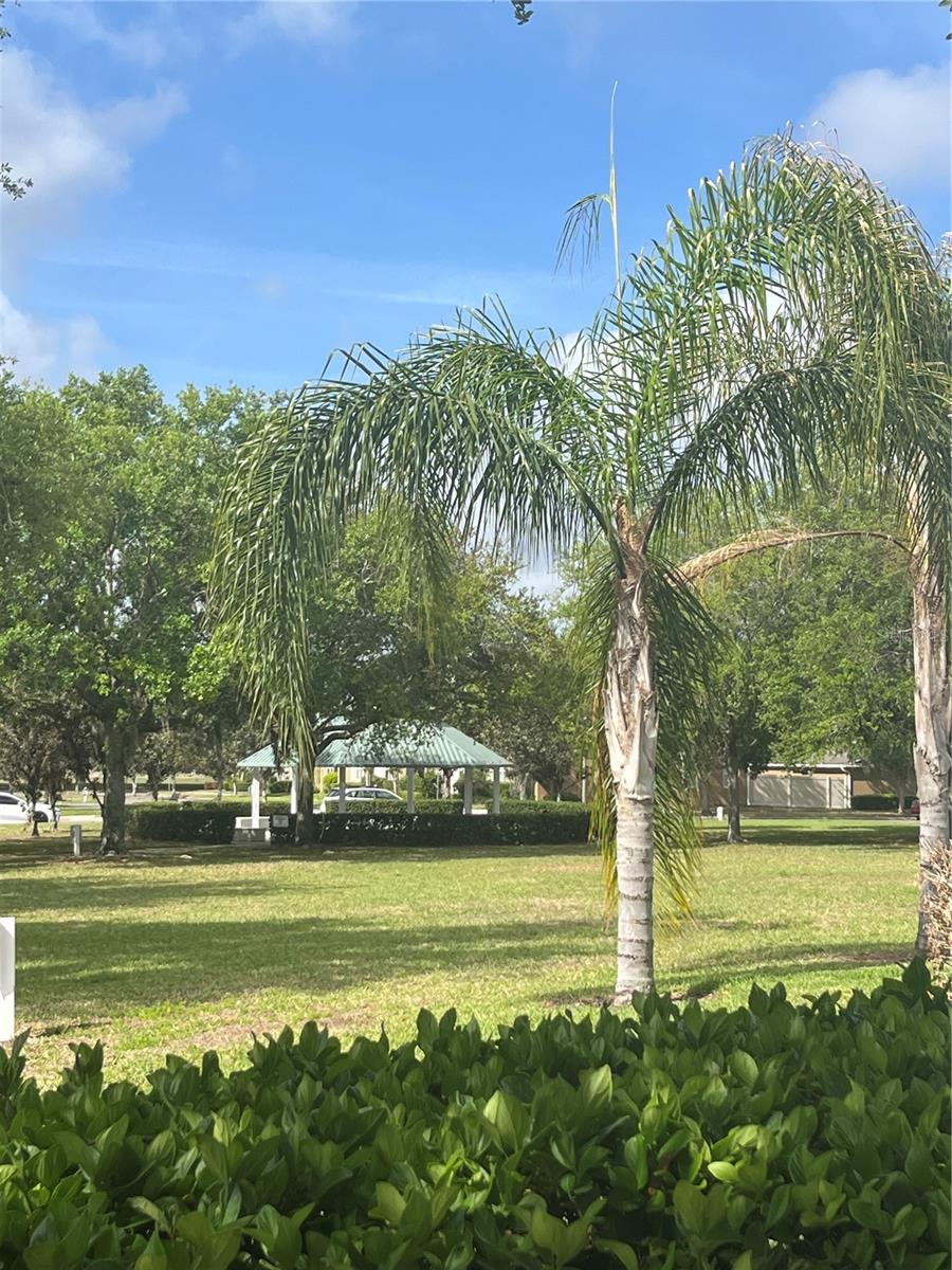 7603 BRAMWELL ST, WINDERMERE, FL, 34786