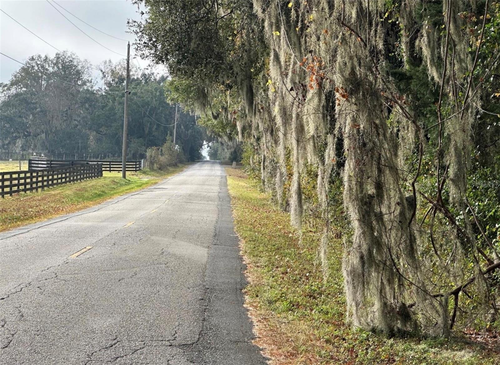 NW 160TH ST, REDDICK, FL, 32686