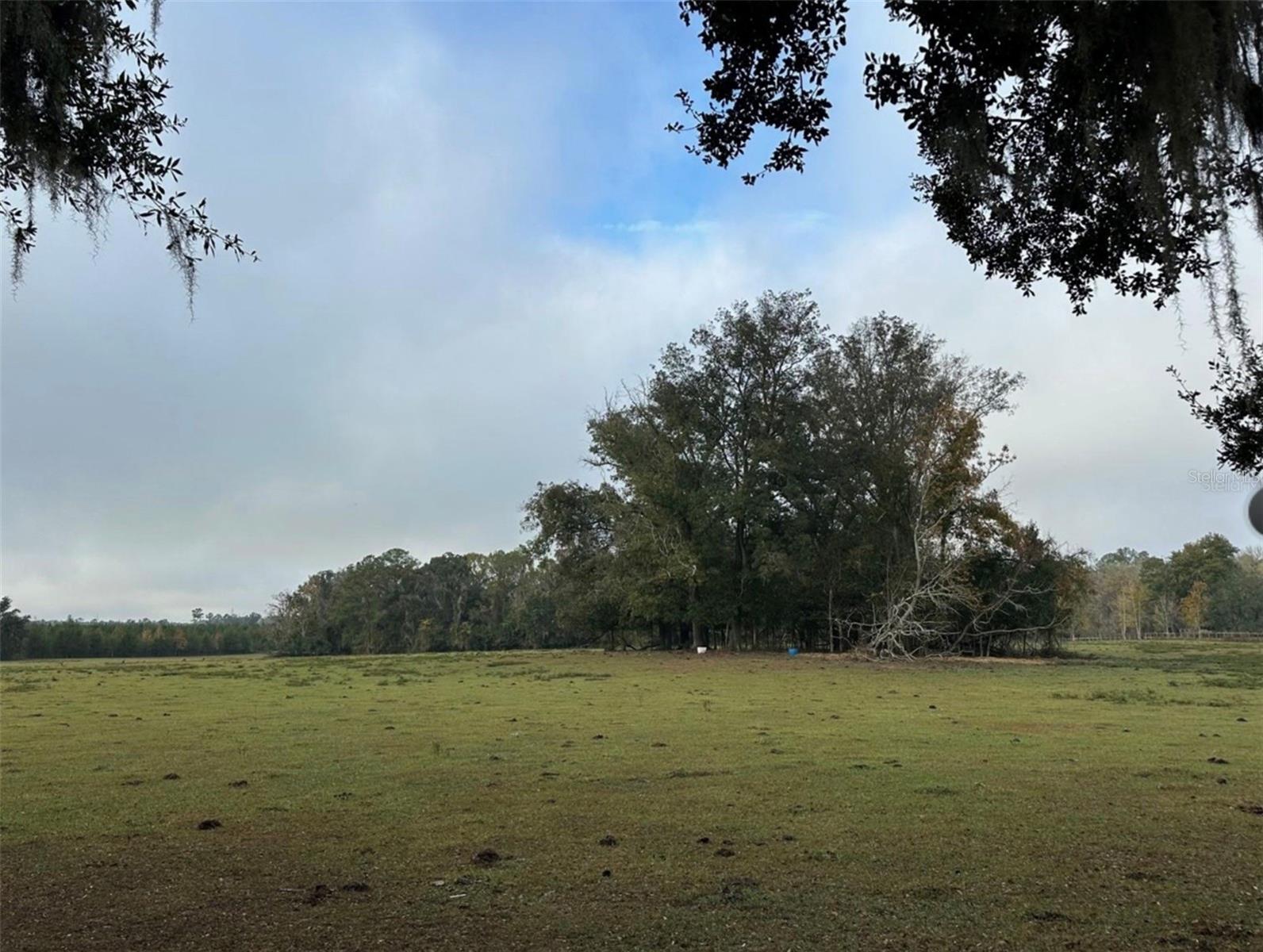 NW 160TH ST, REDDICK, FL, 32686