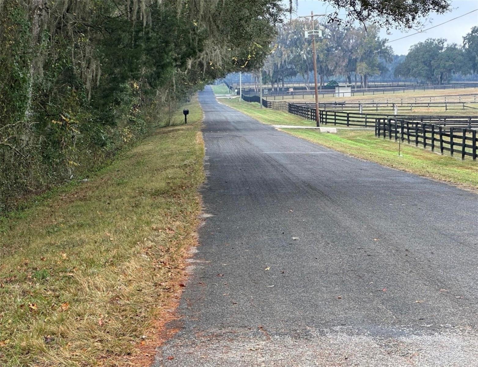 NW 160TH ST, REDDICK, FL, 32686