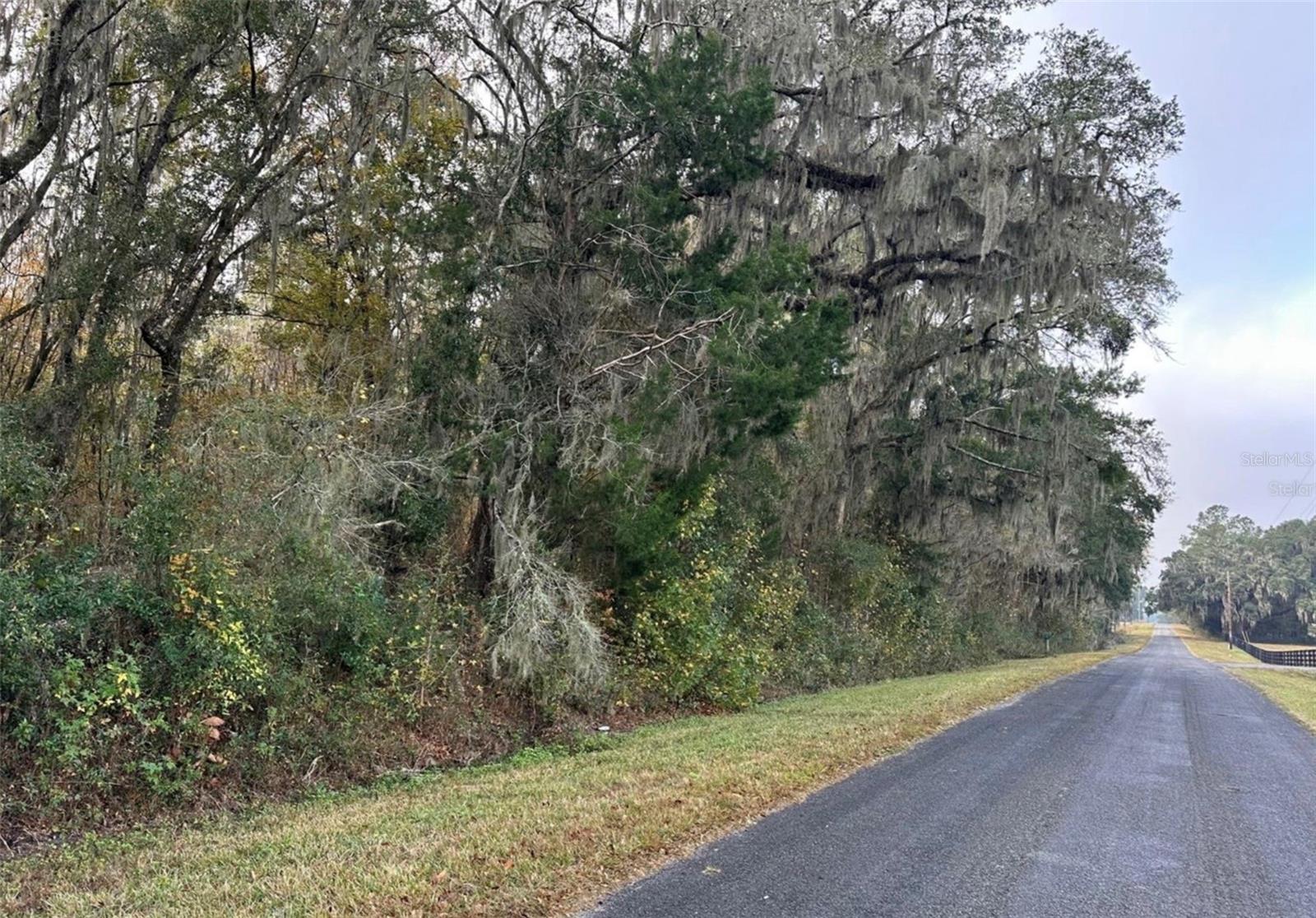 NW 160TH ST, REDDICK, FL, 32686