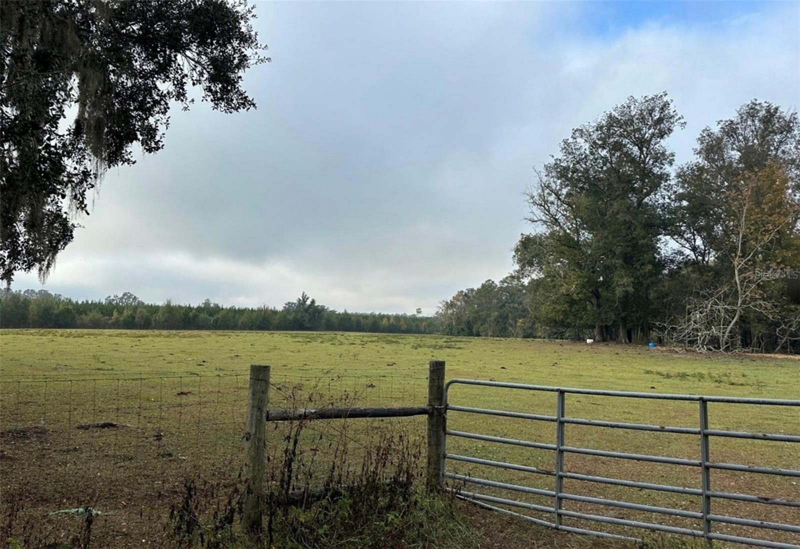 NW 160TH ST, REDDICK, FL, 32686