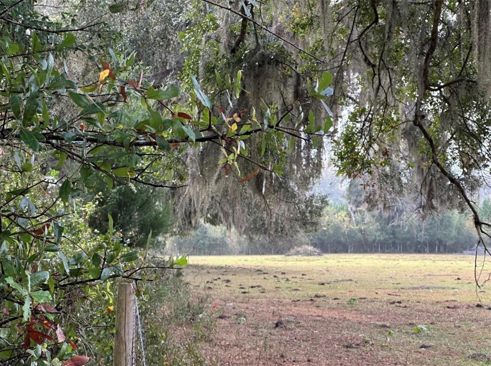 NW 160TH ST, REDDICK, FL, 32686