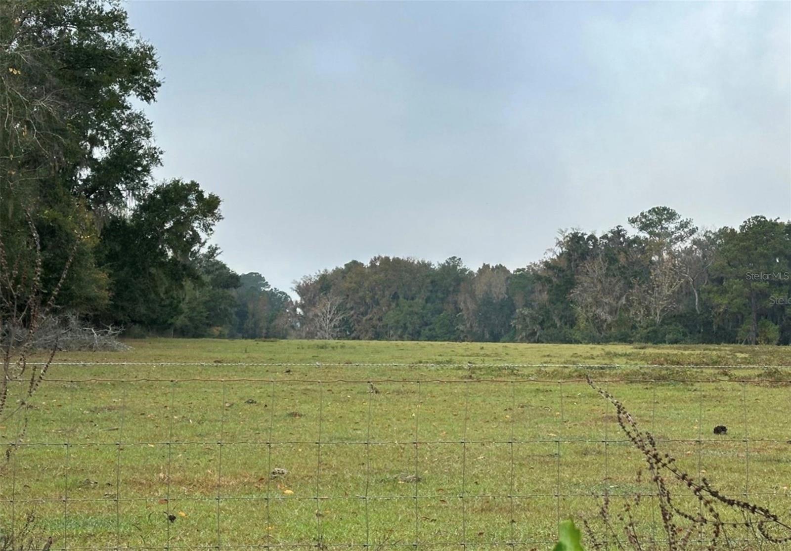 NW 160TH ST, REDDICK, FL, 32686