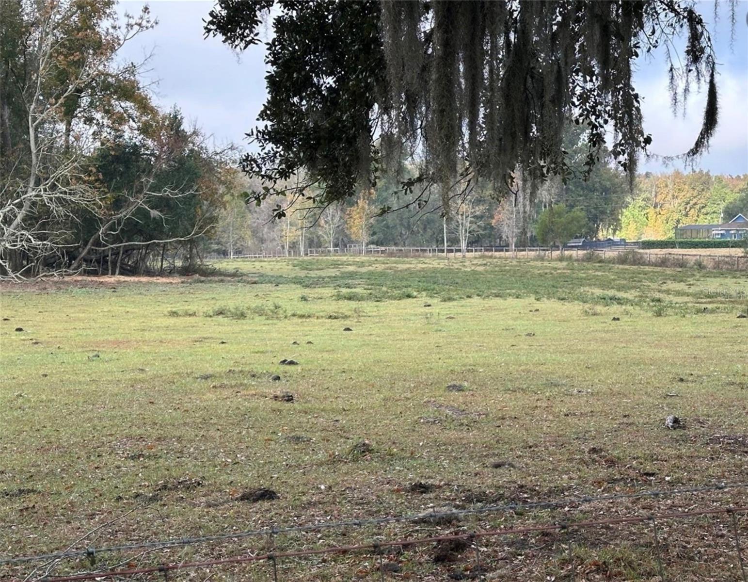 NW 160TH ST, REDDICK, FL, 32686