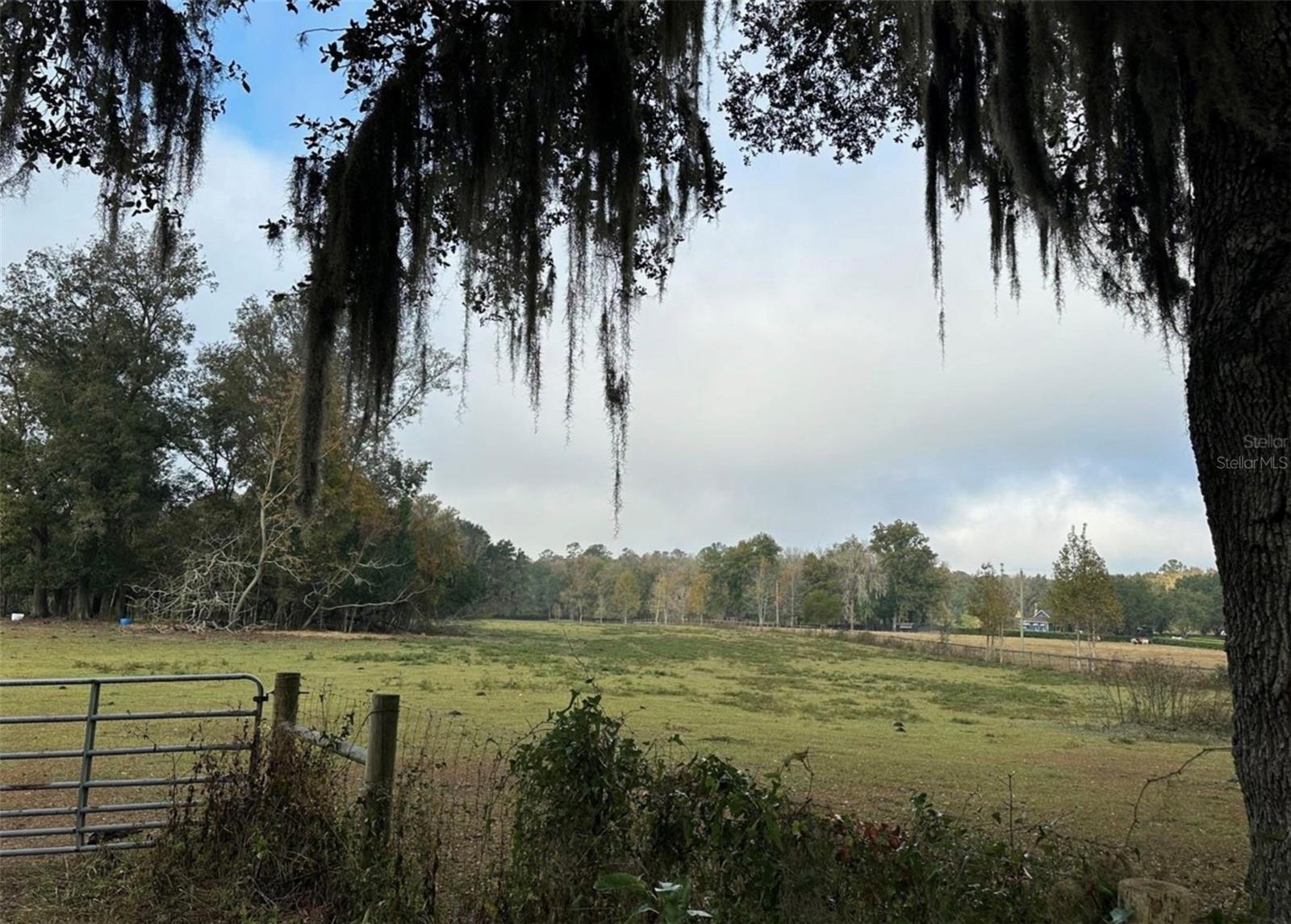 NW 160TH ST, REDDICK, FL, 32686