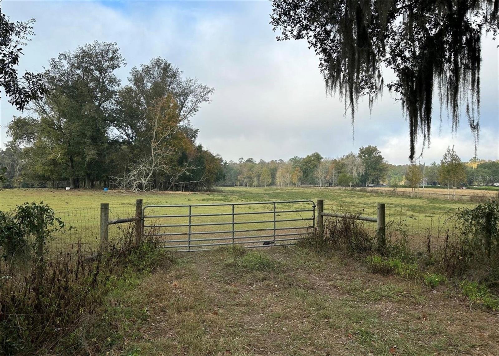 NW 160TH ST, REDDICK, FL, 32686