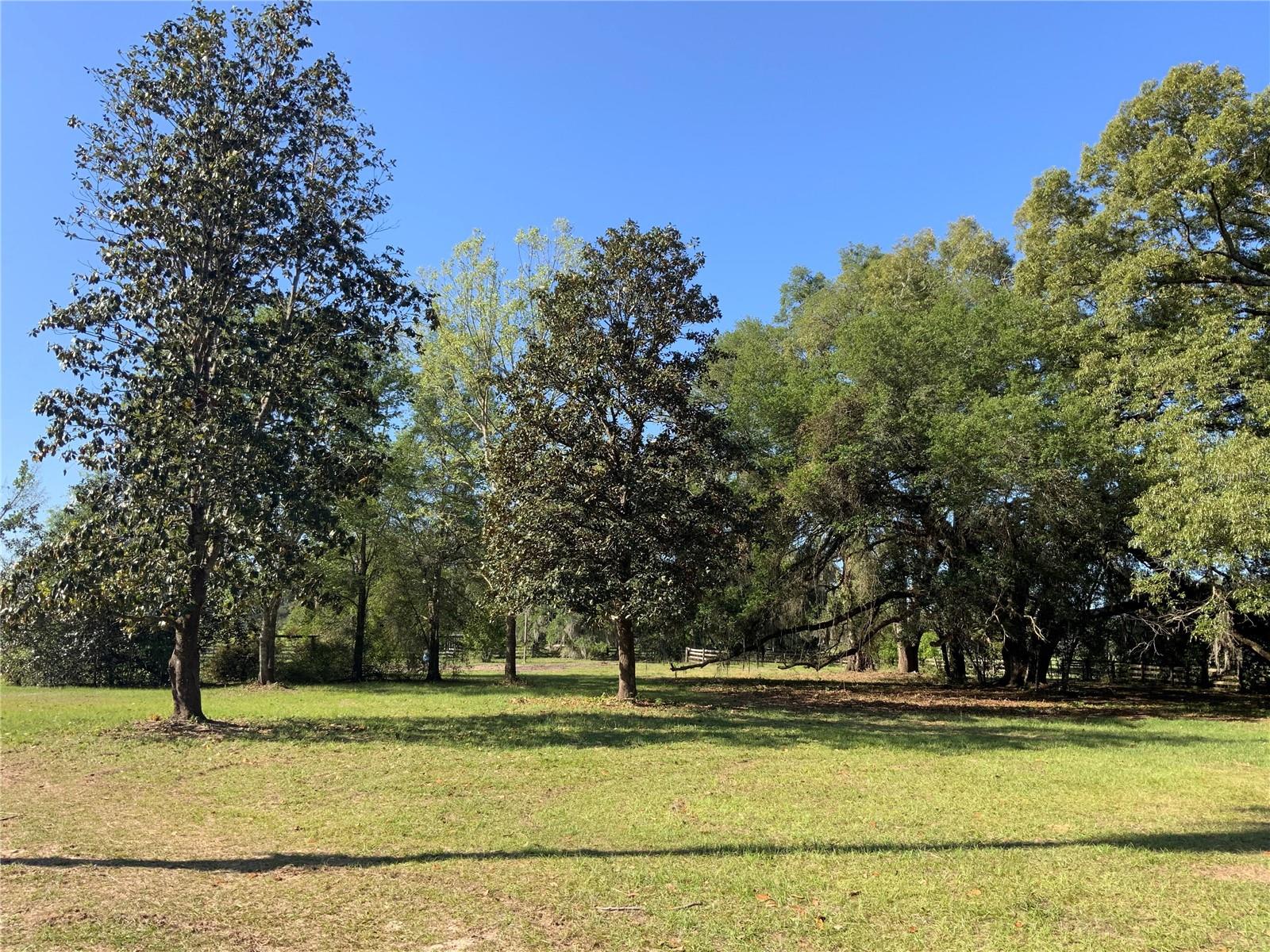 10919 NW 202ND ST, ALACHUA, FL, 32615