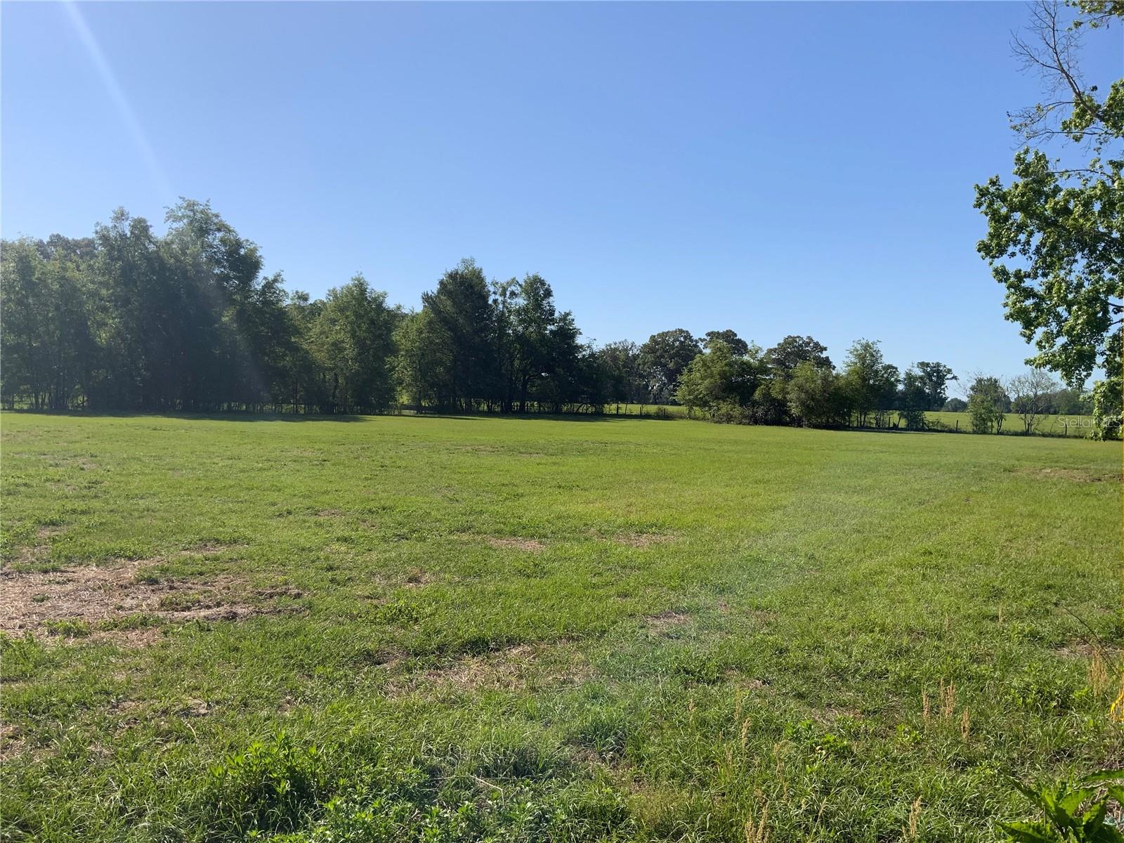 10919 NW 202ND ST, ALACHUA, FL, 32615