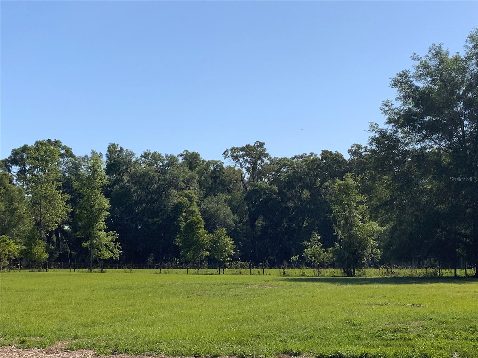 10919 NW 202ND ST, ALACHUA, FL, 32615