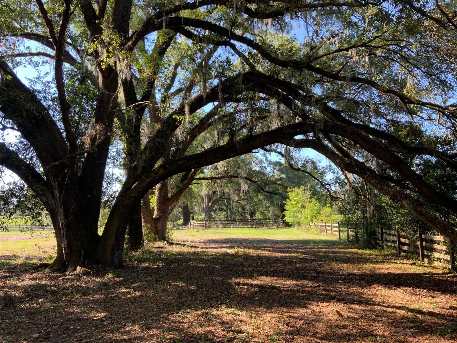 10919 NW 202ND ST, ALACHUA, FL, 32615