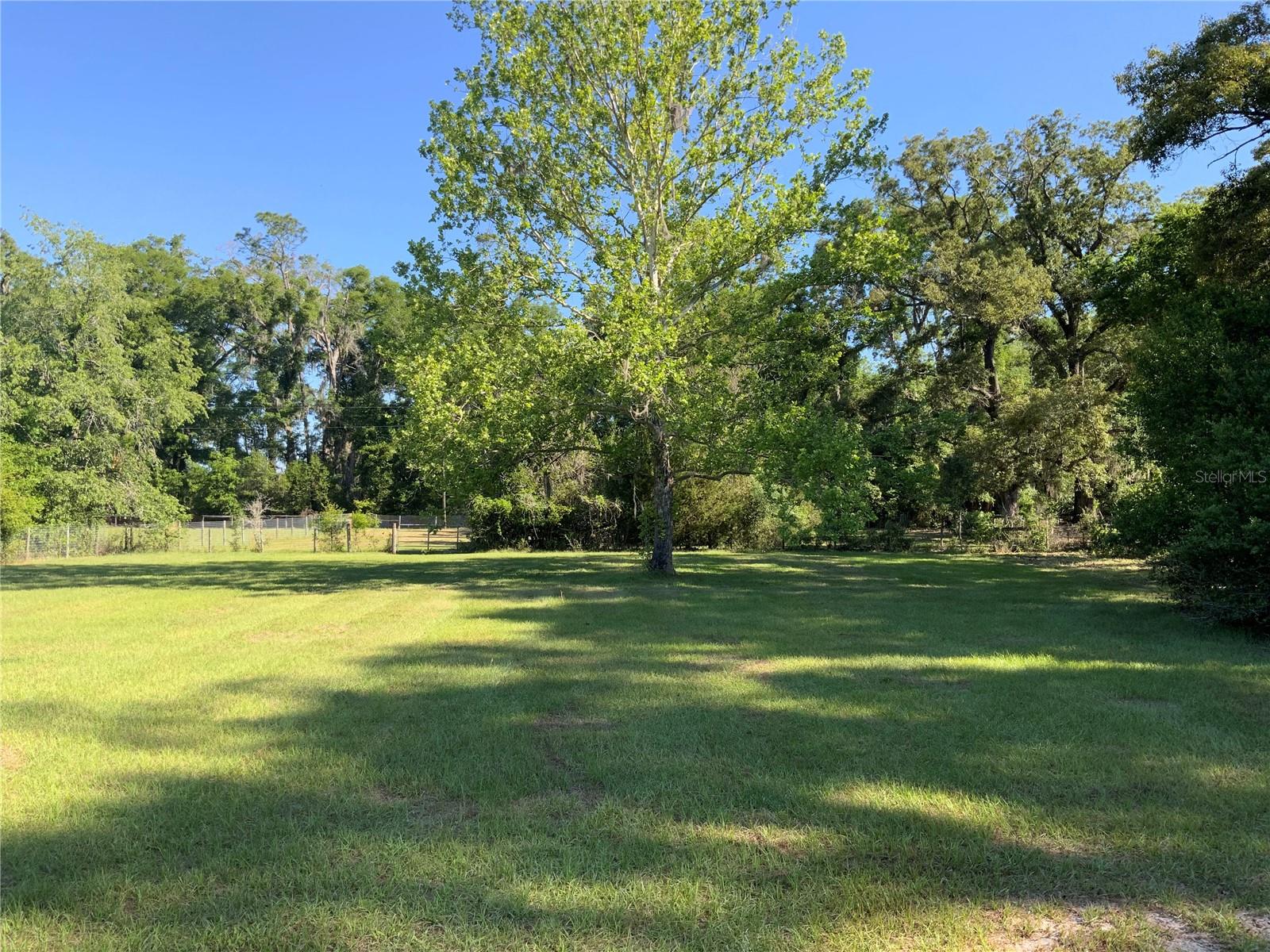 10919 NW 202ND ST, ALACHUA, FL, 32615